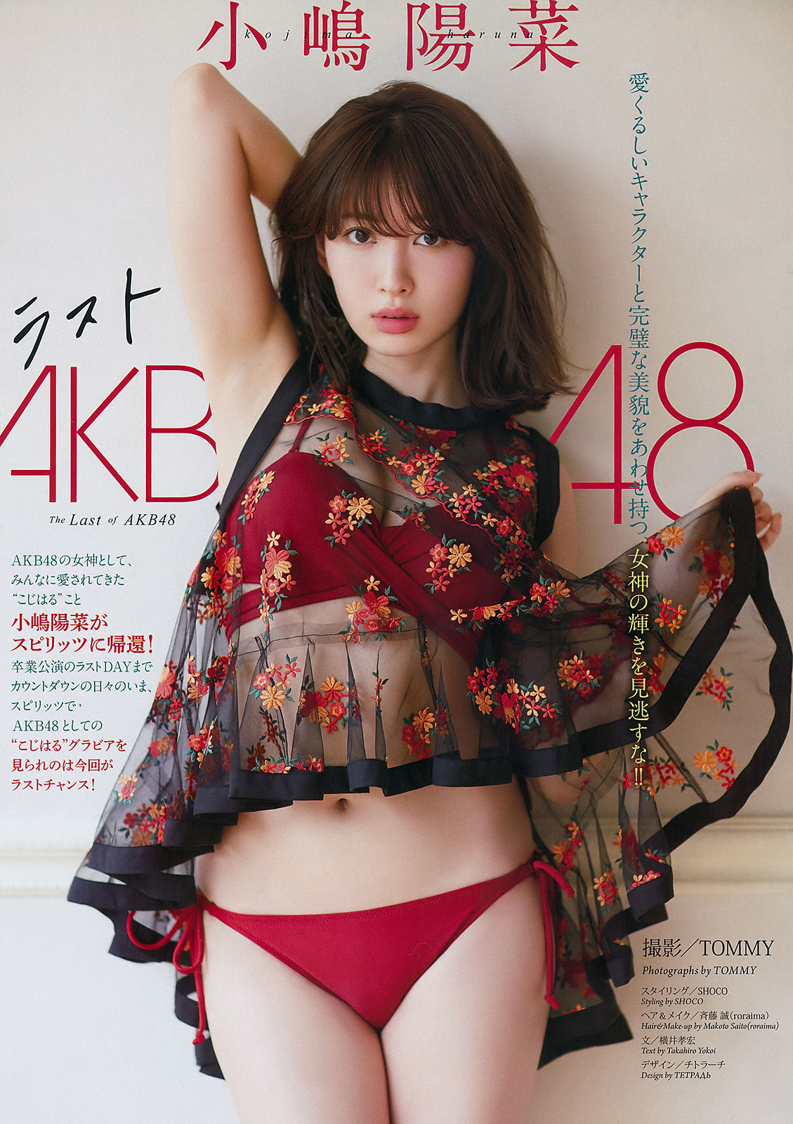 2017年No.19 小嶋陽菜-图1