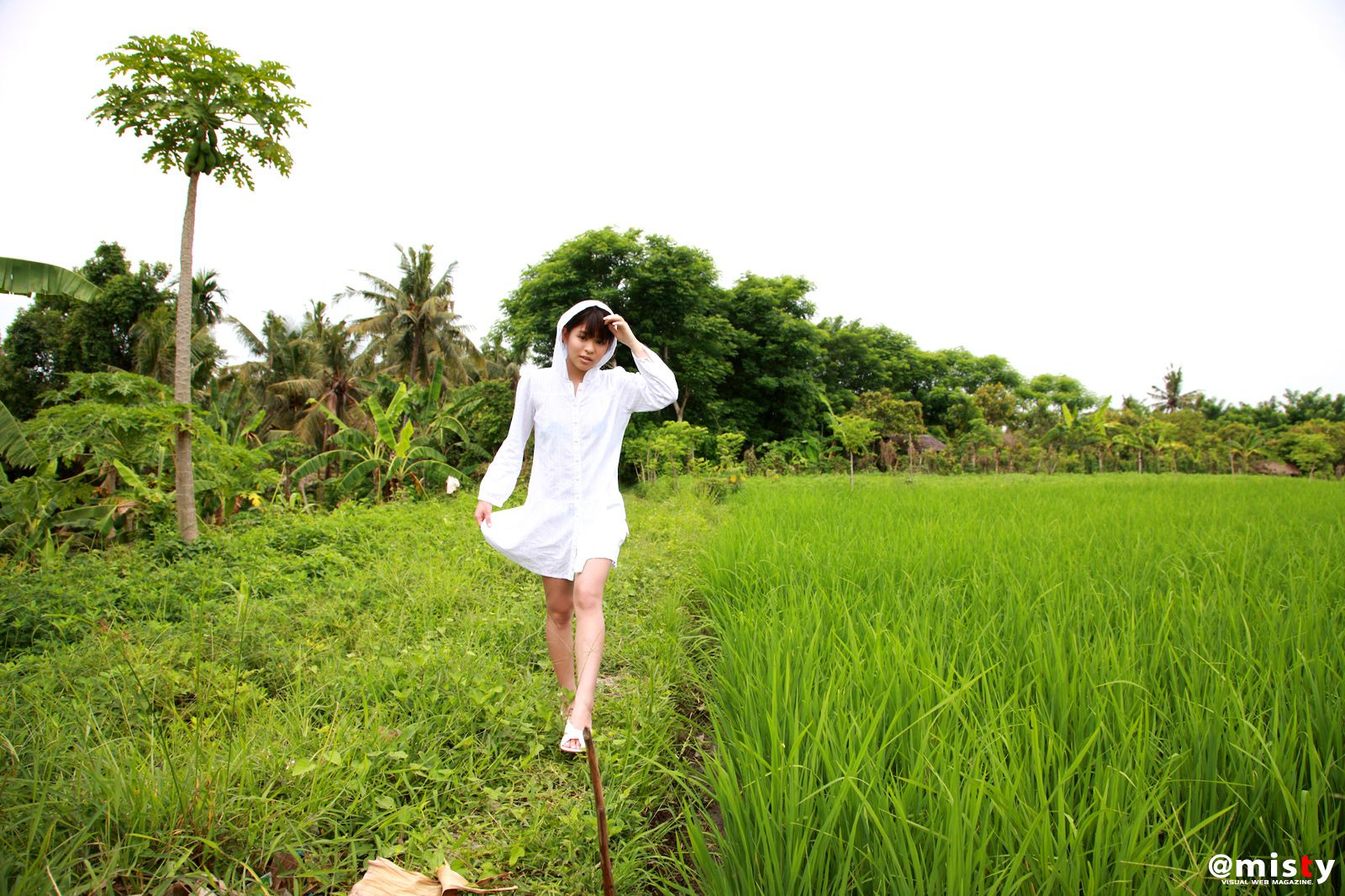 No.276 Miho Arai 新井みほ-图53