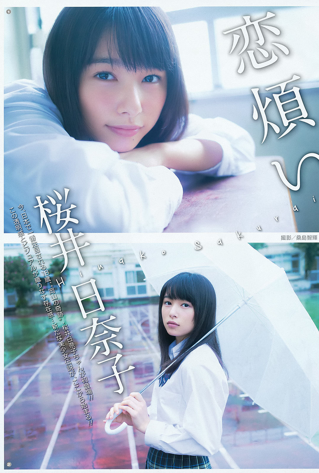 2015年No.22 桜井日奈子-图1