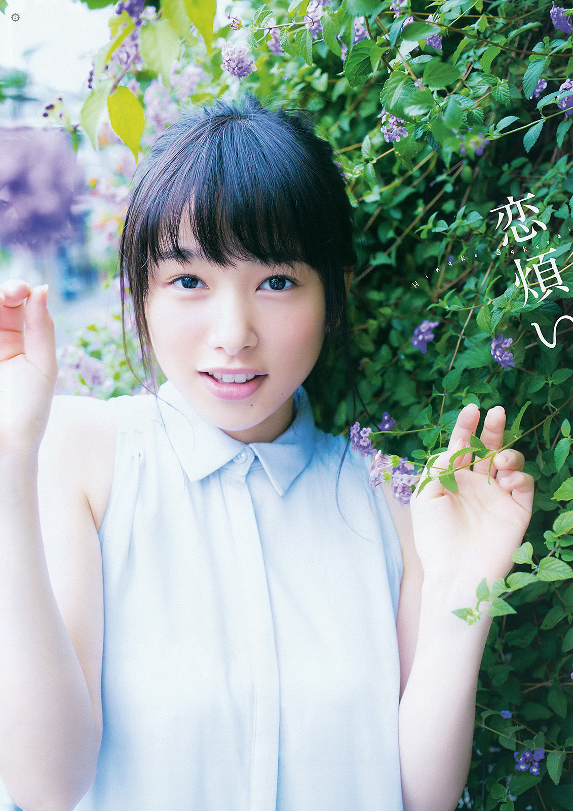 2015年No.22 桜井日奈子-图7