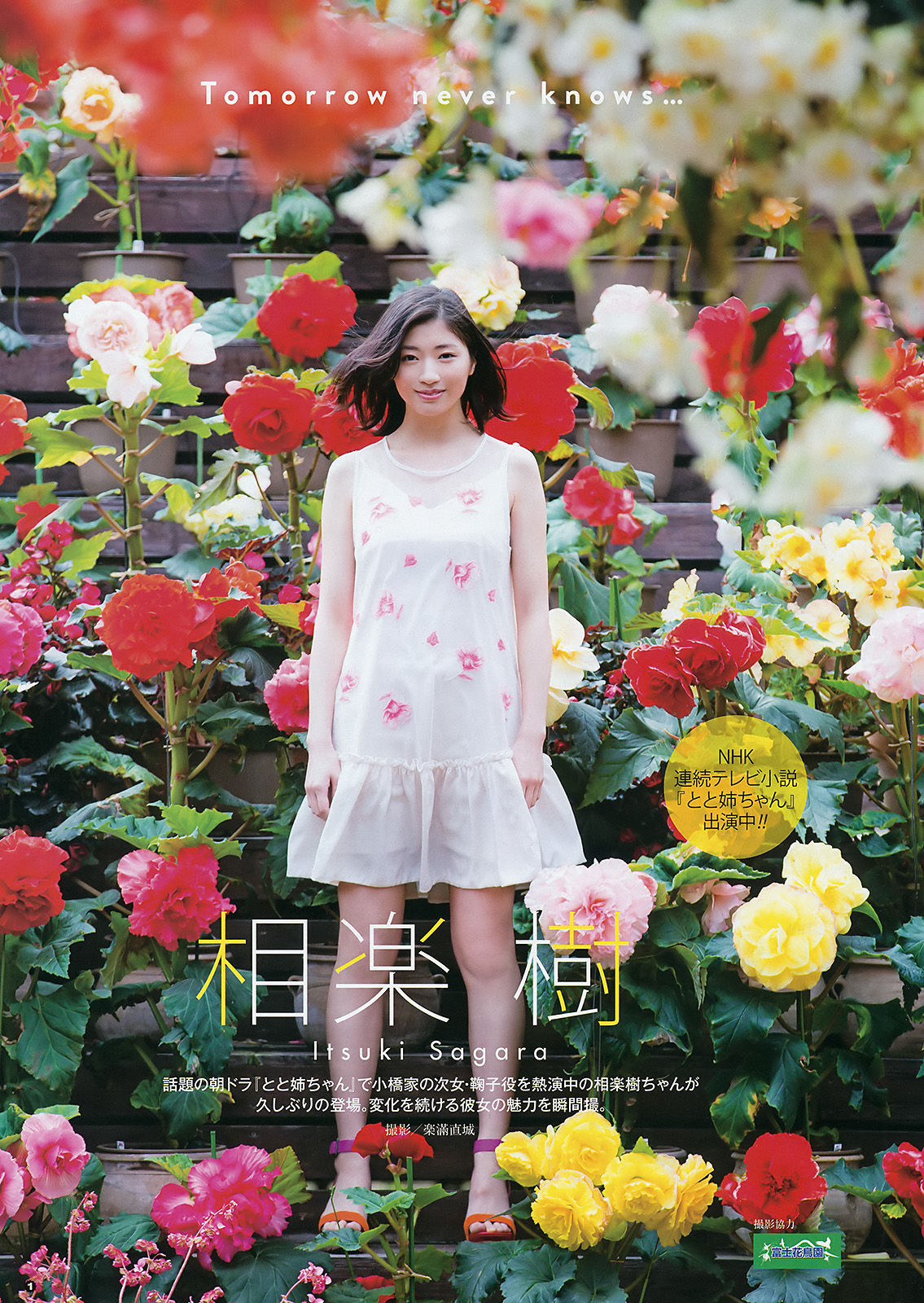 2016年No.11 兒玉遥 相楽樹-图9