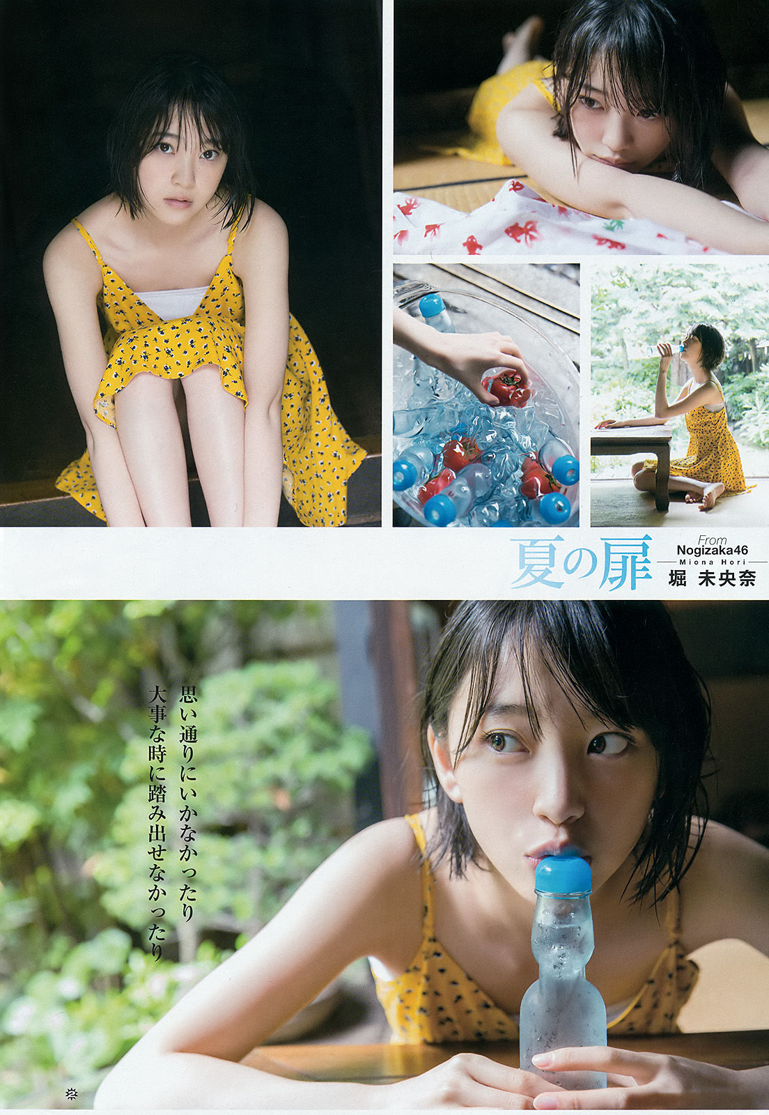 2016年No.15 堀未央奈-图4