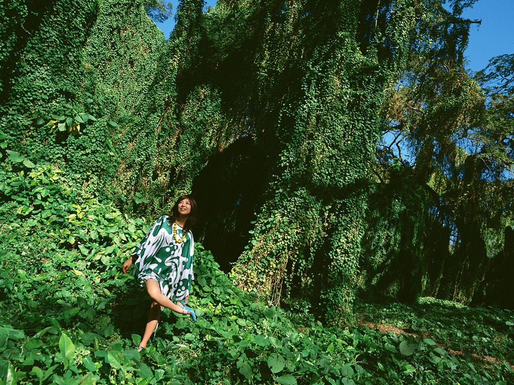 NO.06 Miho Shiraishi 白石美帆-图73