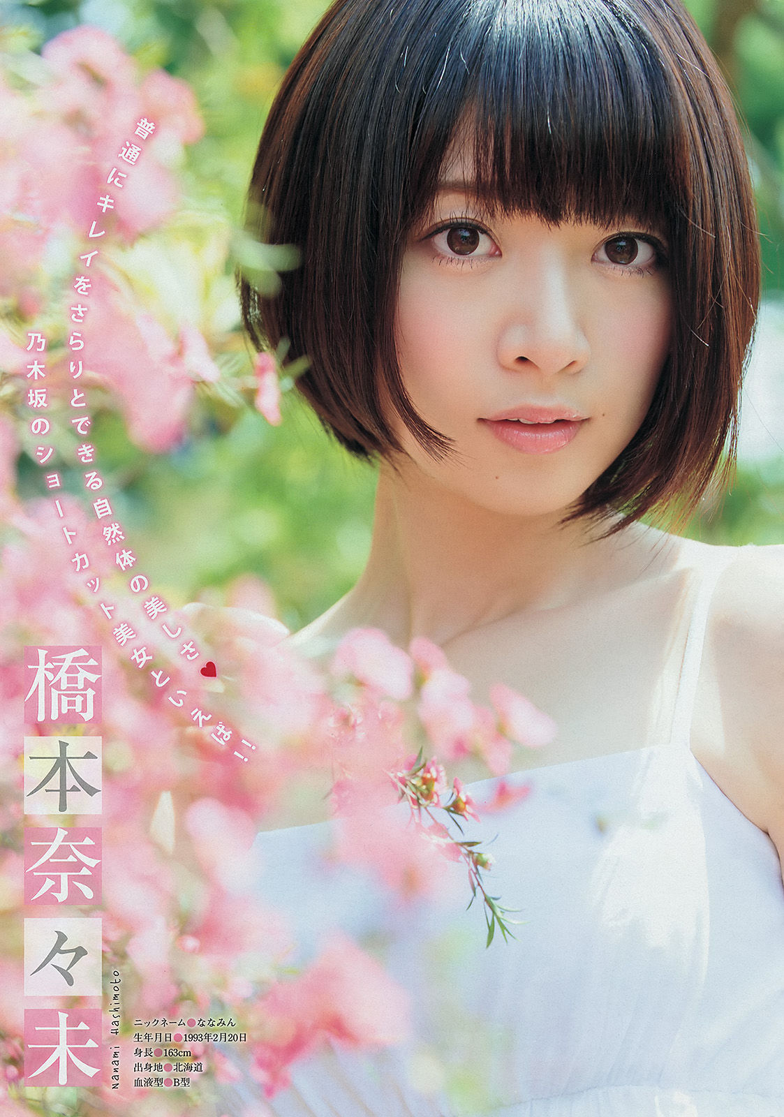 2014年No.29 壇蜜 西野七瀬 橋本奈々未-图10
