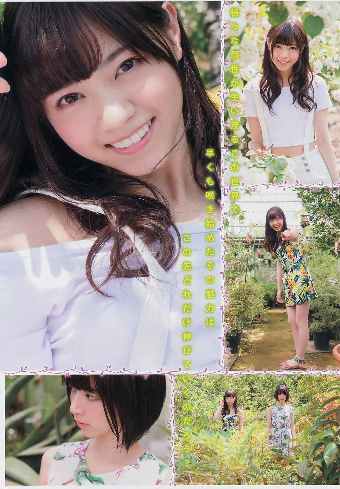2014年No.29 壇蜜 西野七瀬 橋本奈々未-图11