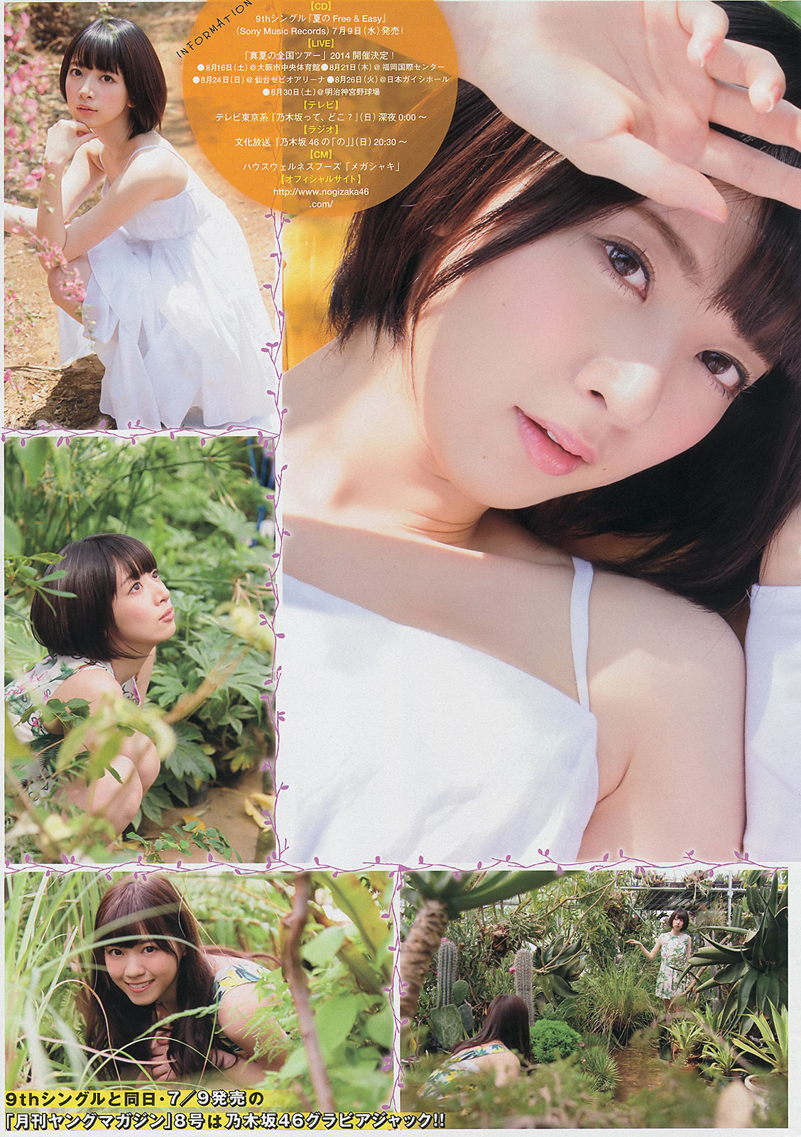 2014年No.29 壇蜜 西野七瀬 橋本奈々未-图12