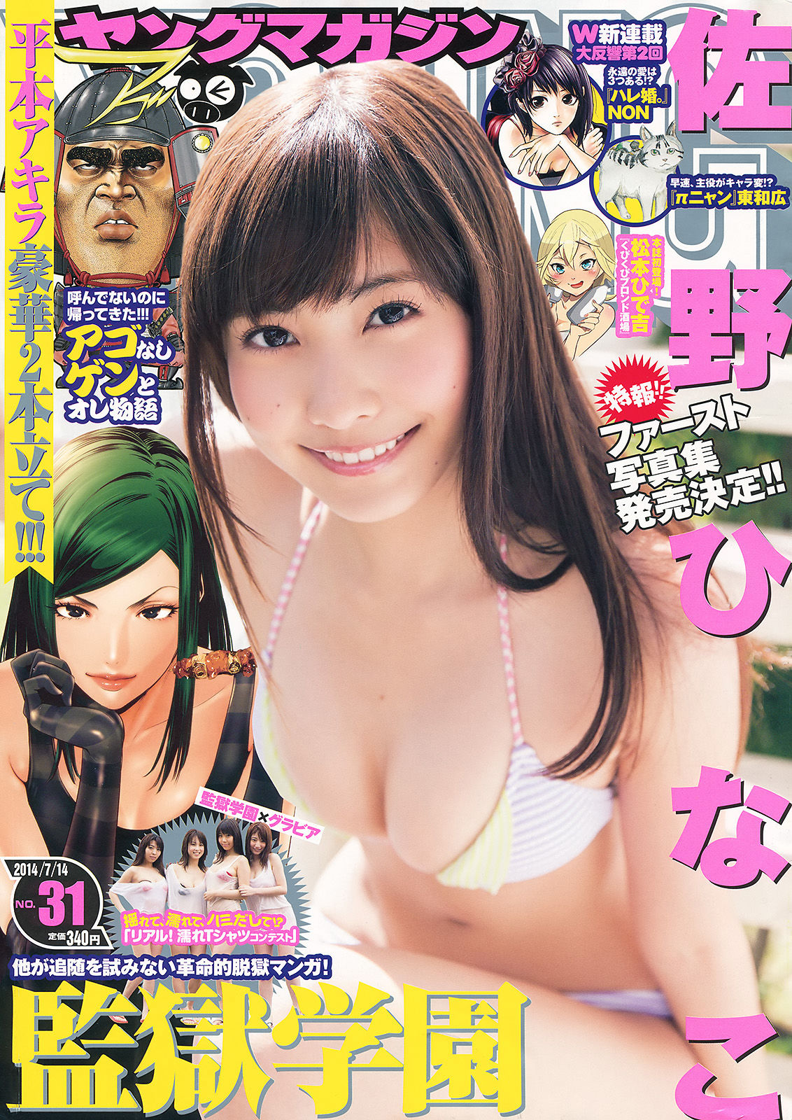 2014年No.31 佐野ひなこ-图0