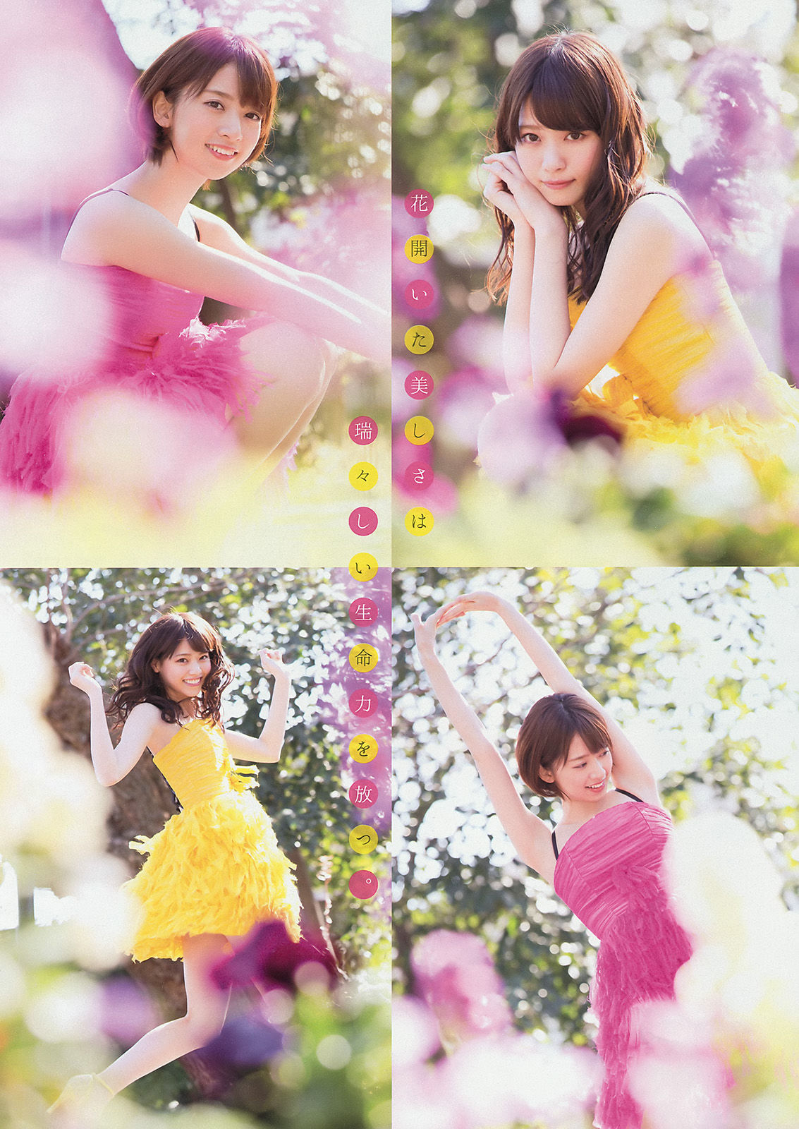 2015年No.16 西野七瀬 橋本奈々未-图4