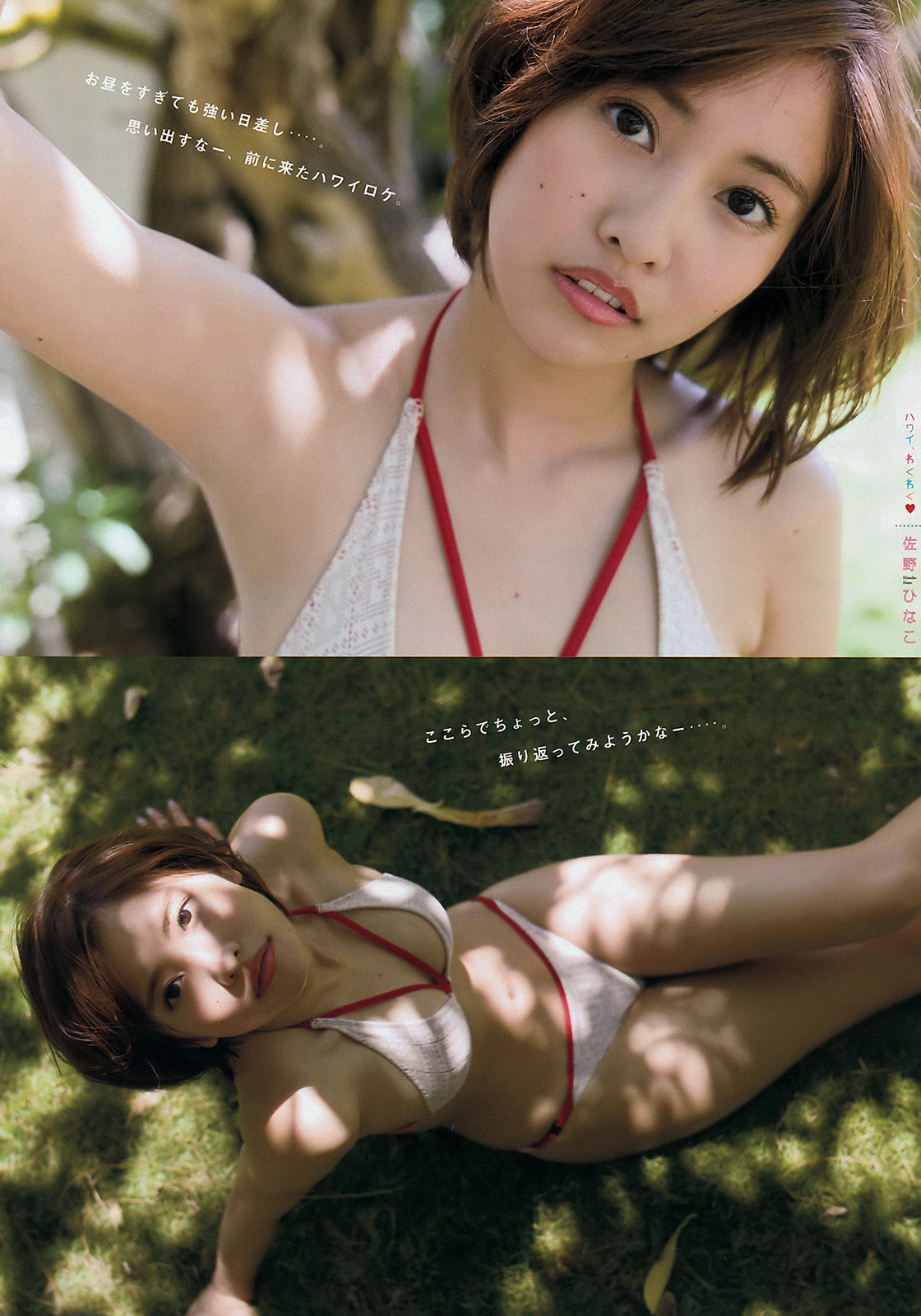 2016年No.29 佐野ひなこ 原野愛弓-图6