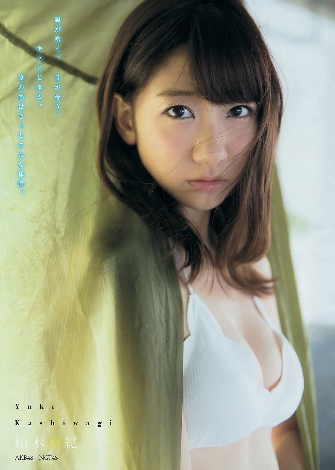 2016年No.36-37 柏木由紀 峯岸みなみ 二村春香-图3