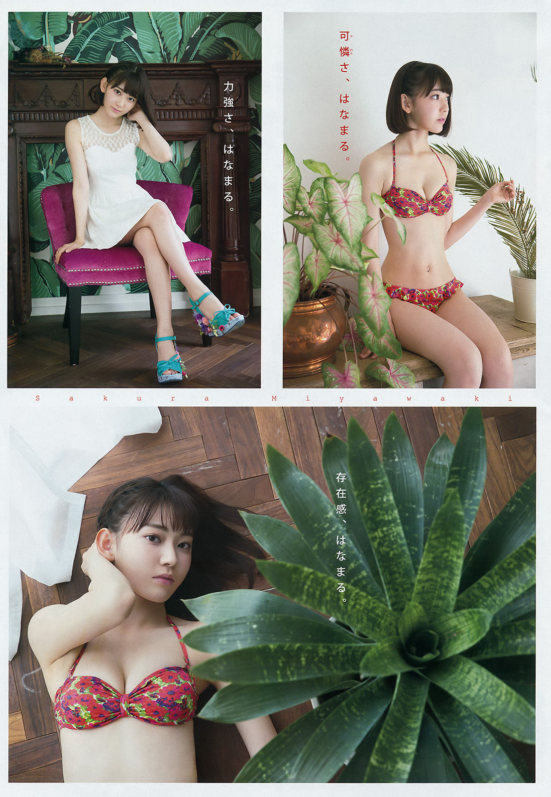 2016年No.41 宮脇咲良 大澤玲美-图3