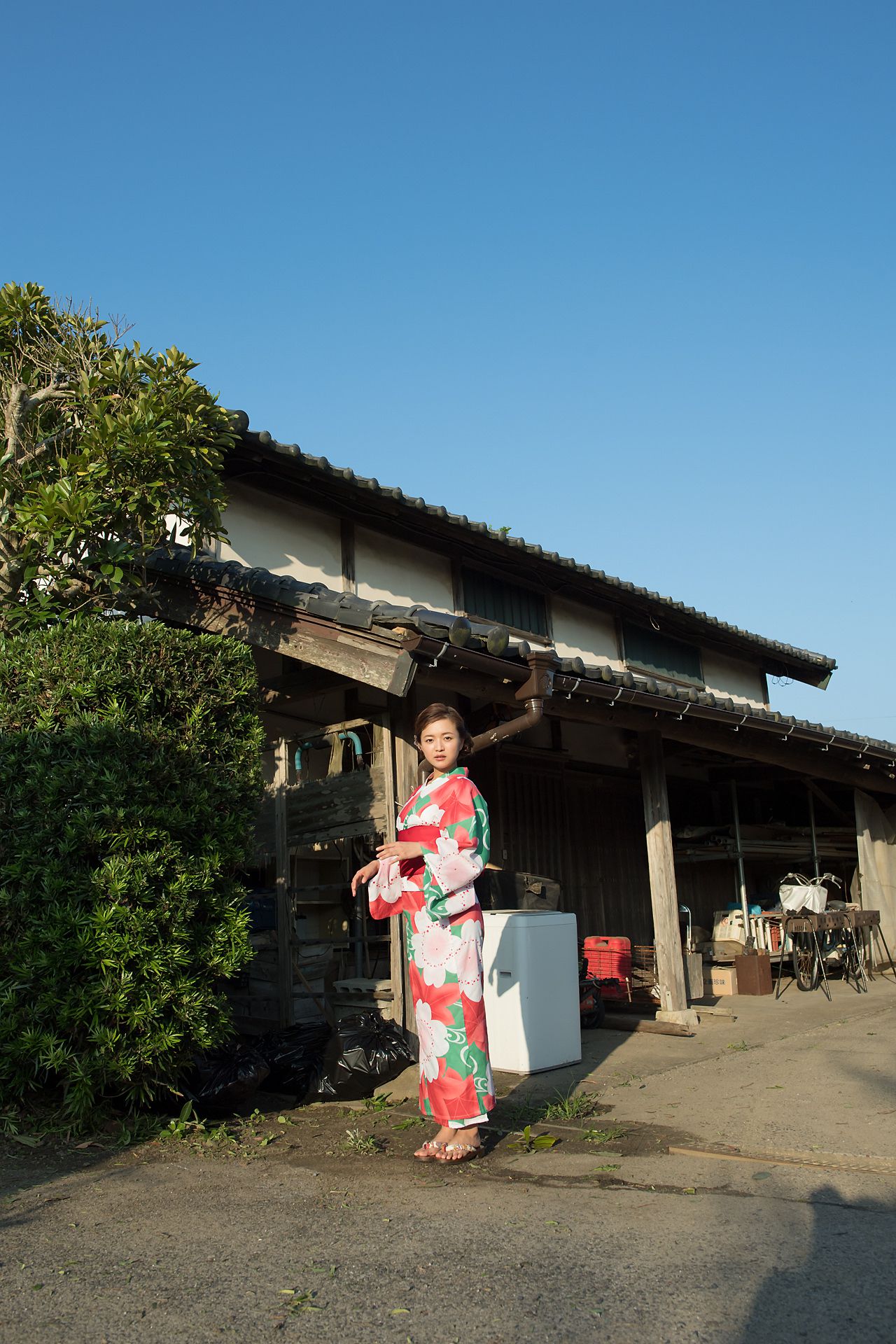 Mayumi Yamanaka 山中真由美 - Limited Gallery 41.3-图0