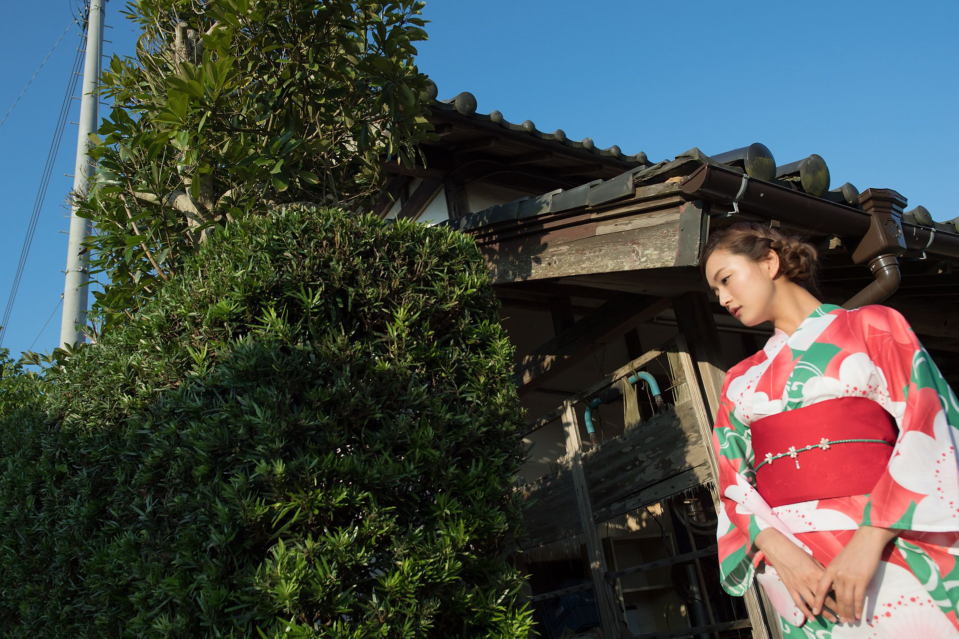 Mayumi Yamanaka 山中真由美 - Limited Gallery 41.3-图1