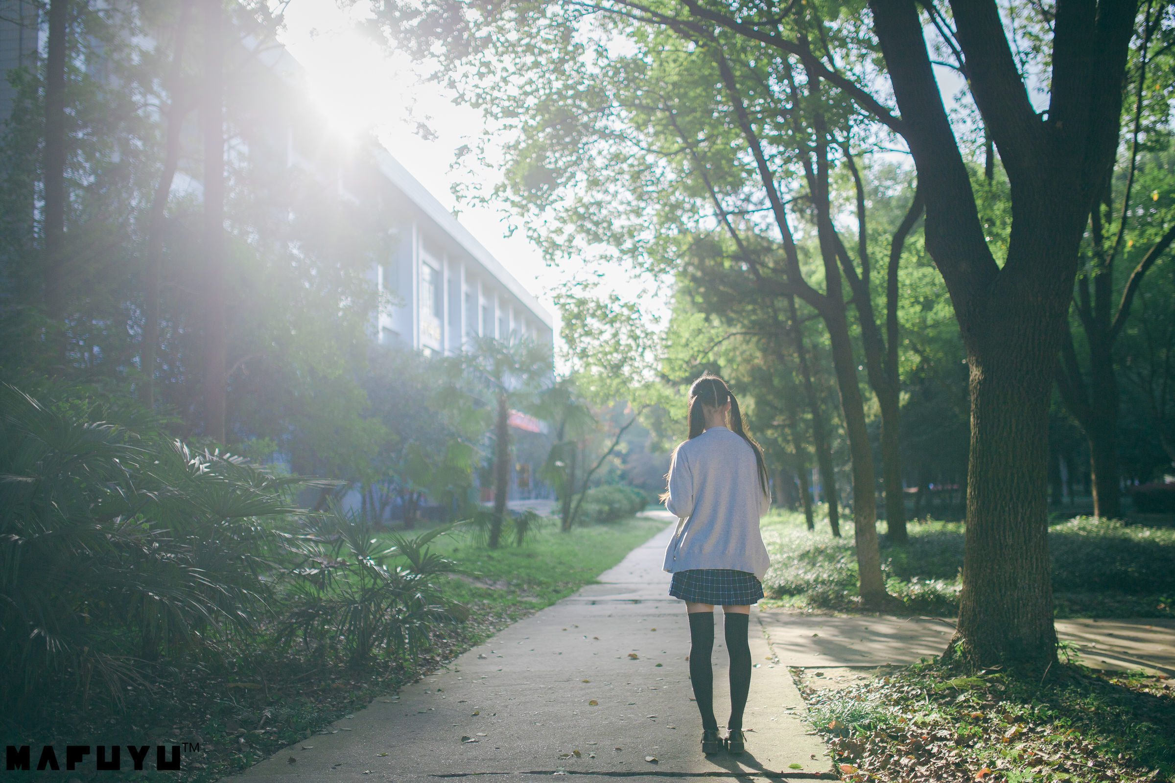 神楽板真冬 阳光校服系列套图-图47