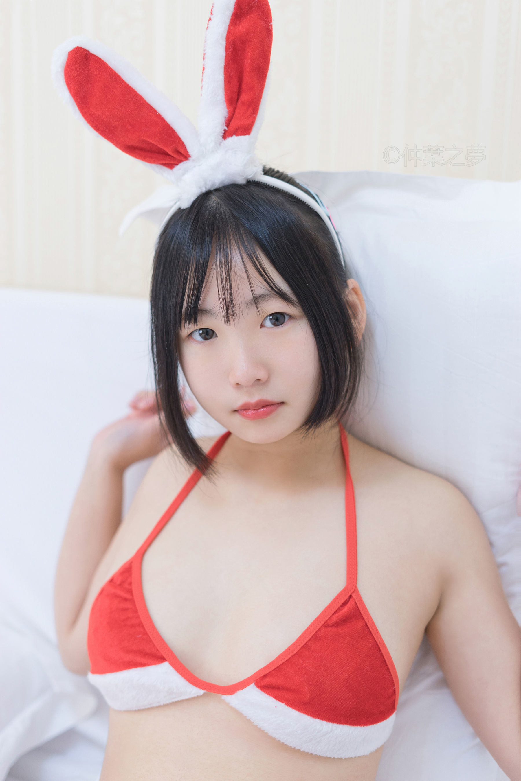 Grand.006  火红小兔子-图0