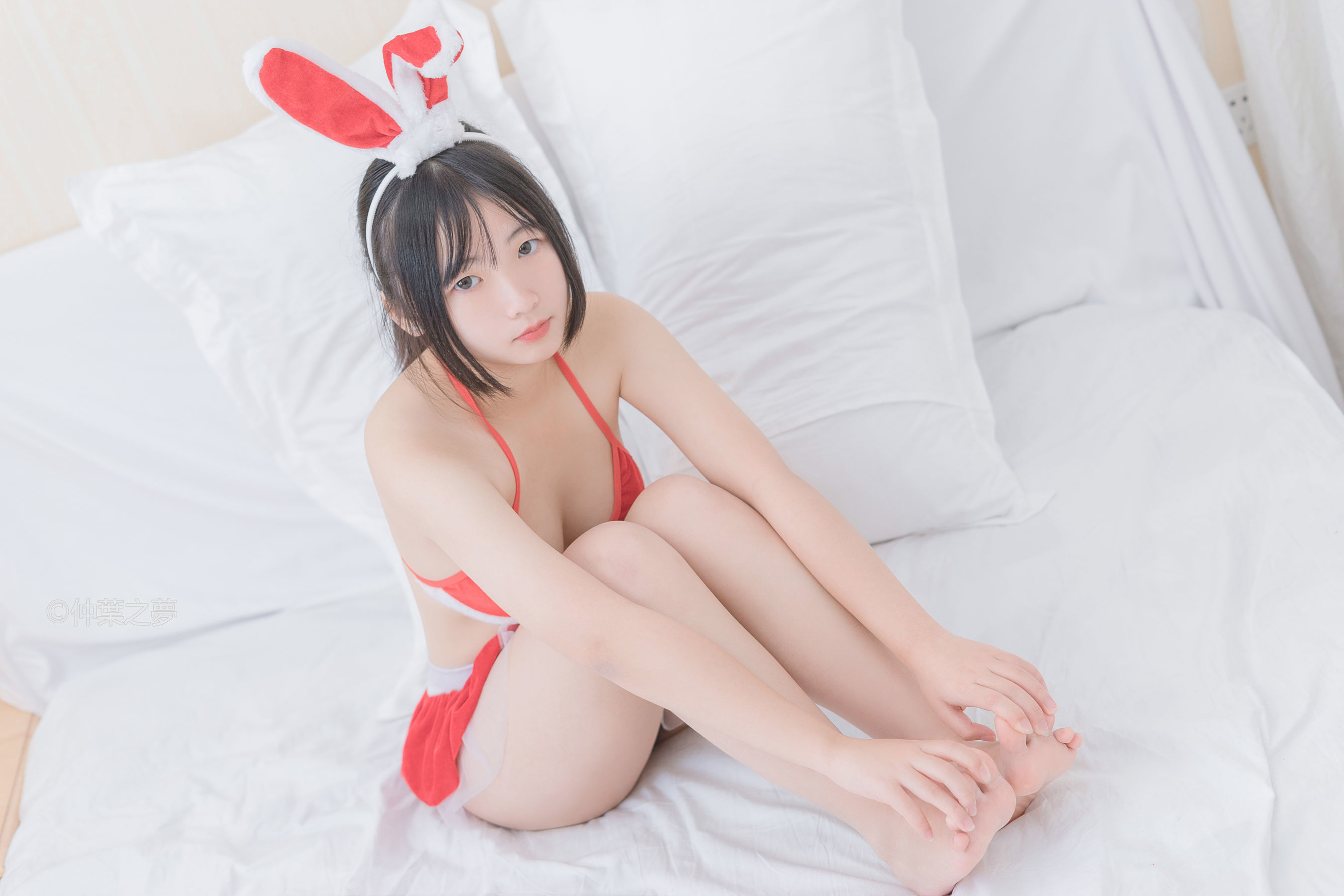 Grand.006  火红小兔子-图48