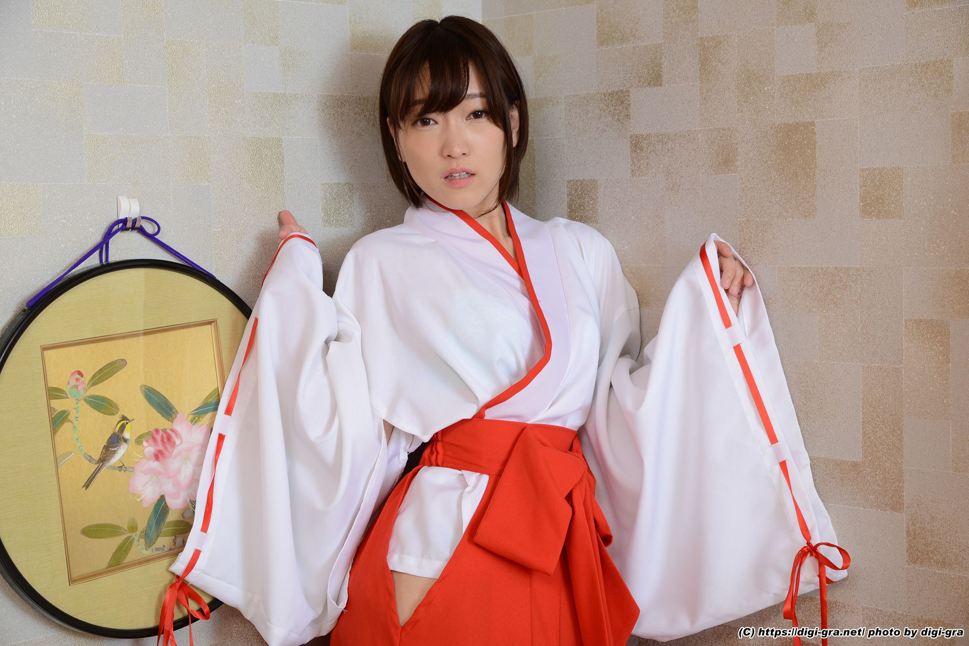 Ameri Hoshi 星あめり Photoset 09-图19