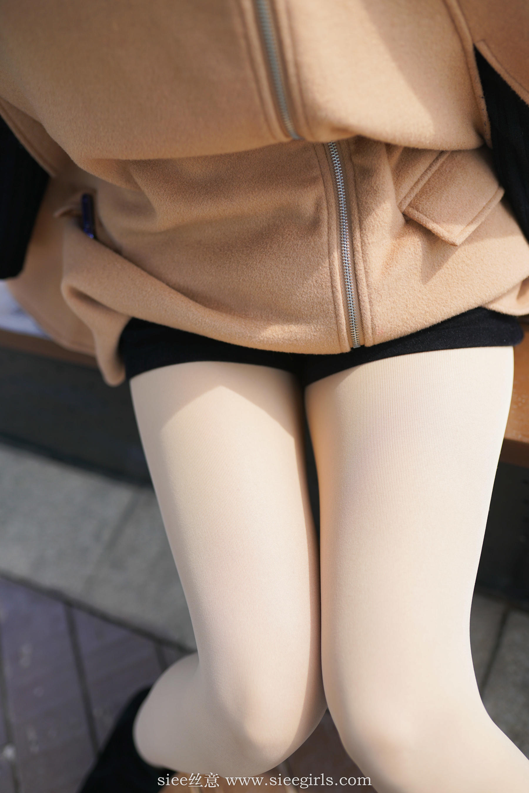 No.390 蓓蓓 秋色过客，秋意醉人-图5
