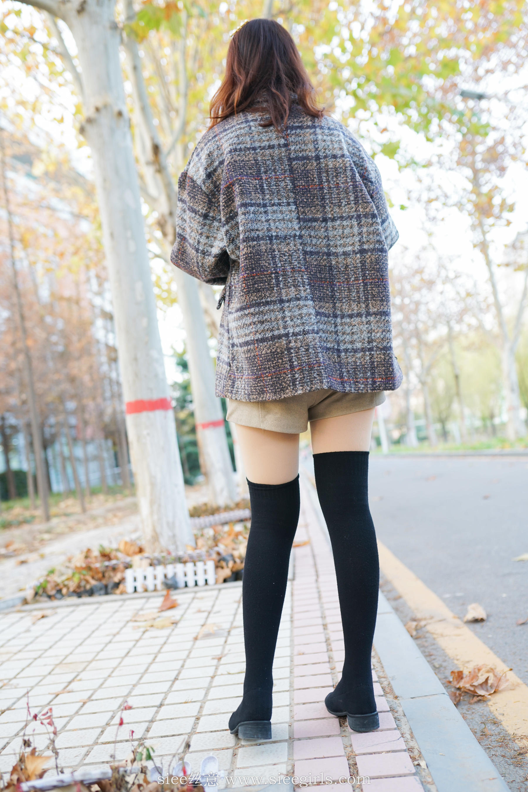 No.401 琴琴 冬韵-图0