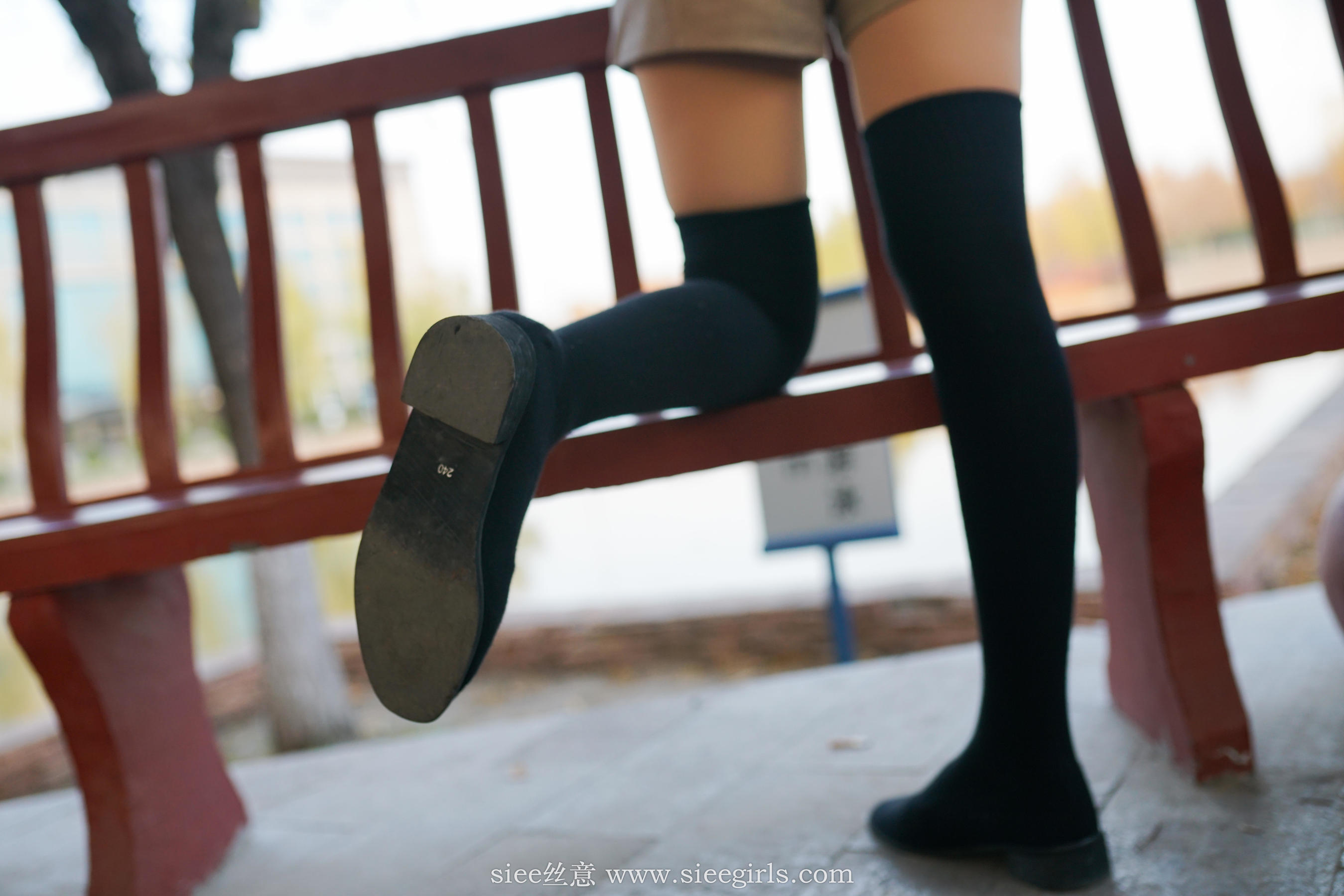 No.401 琴琴 冬韵-图69