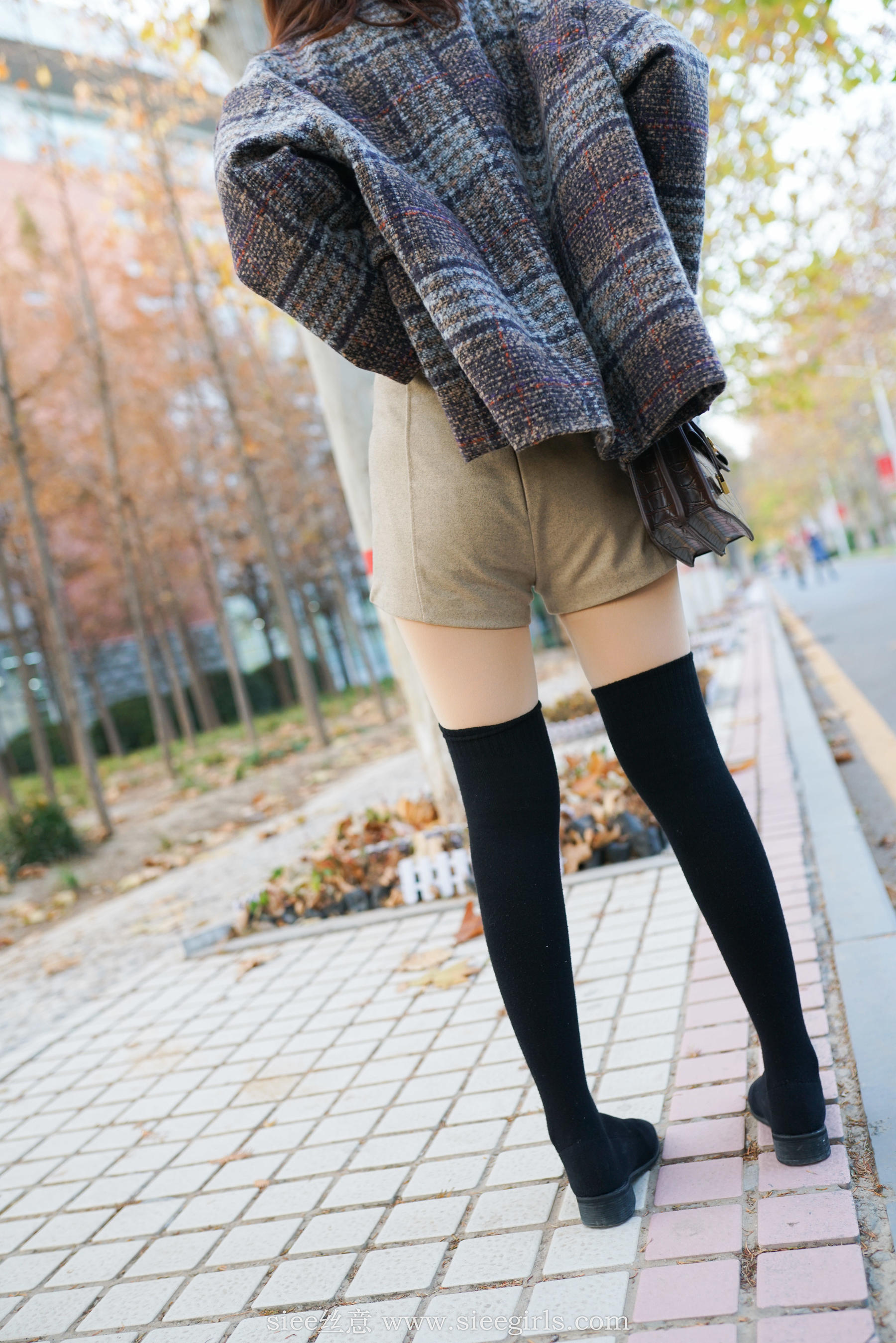 No.401 琴琴 冬韵-图84