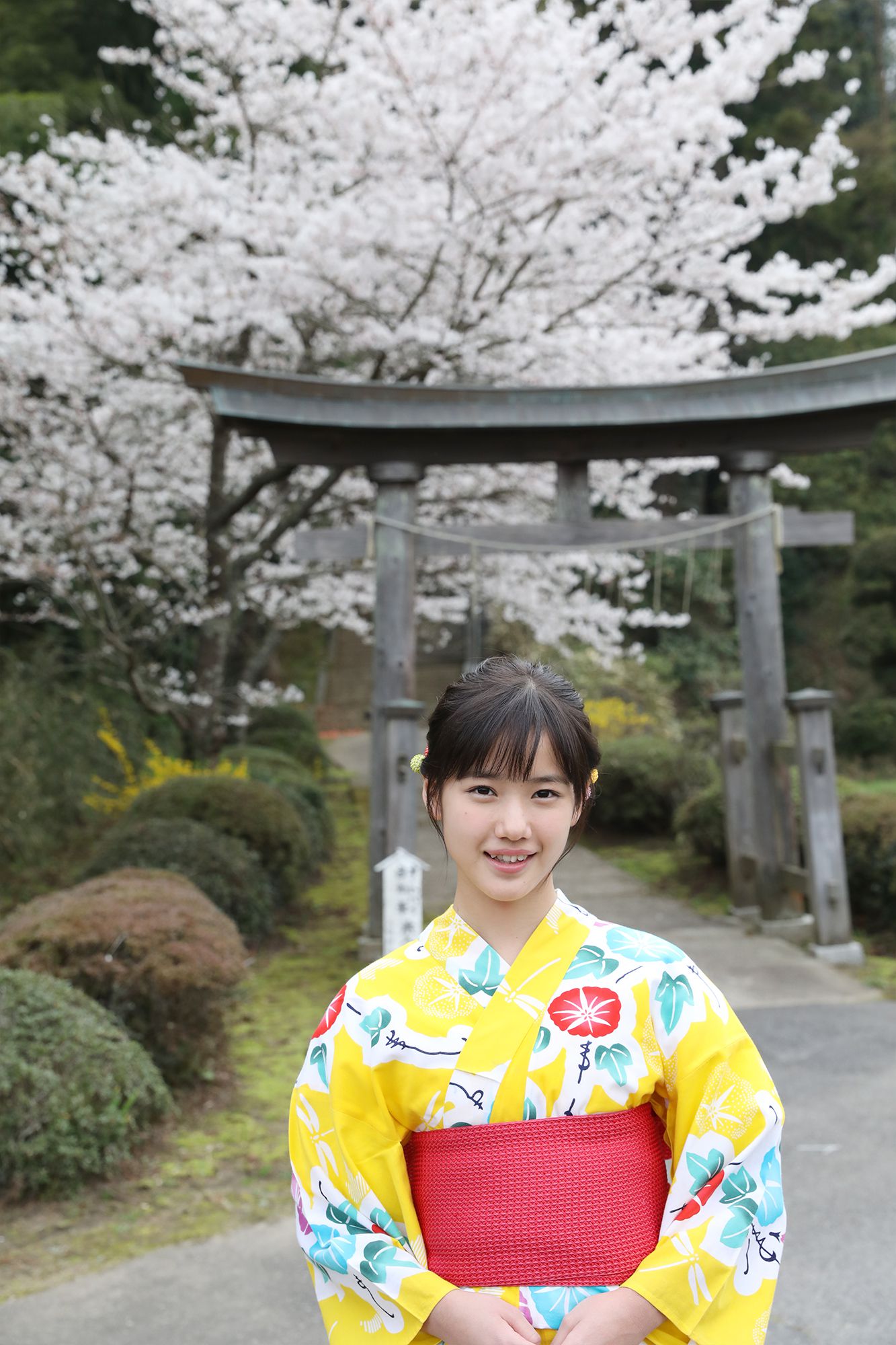 No.187 Reina Yokoyama 横山玲奈-图91