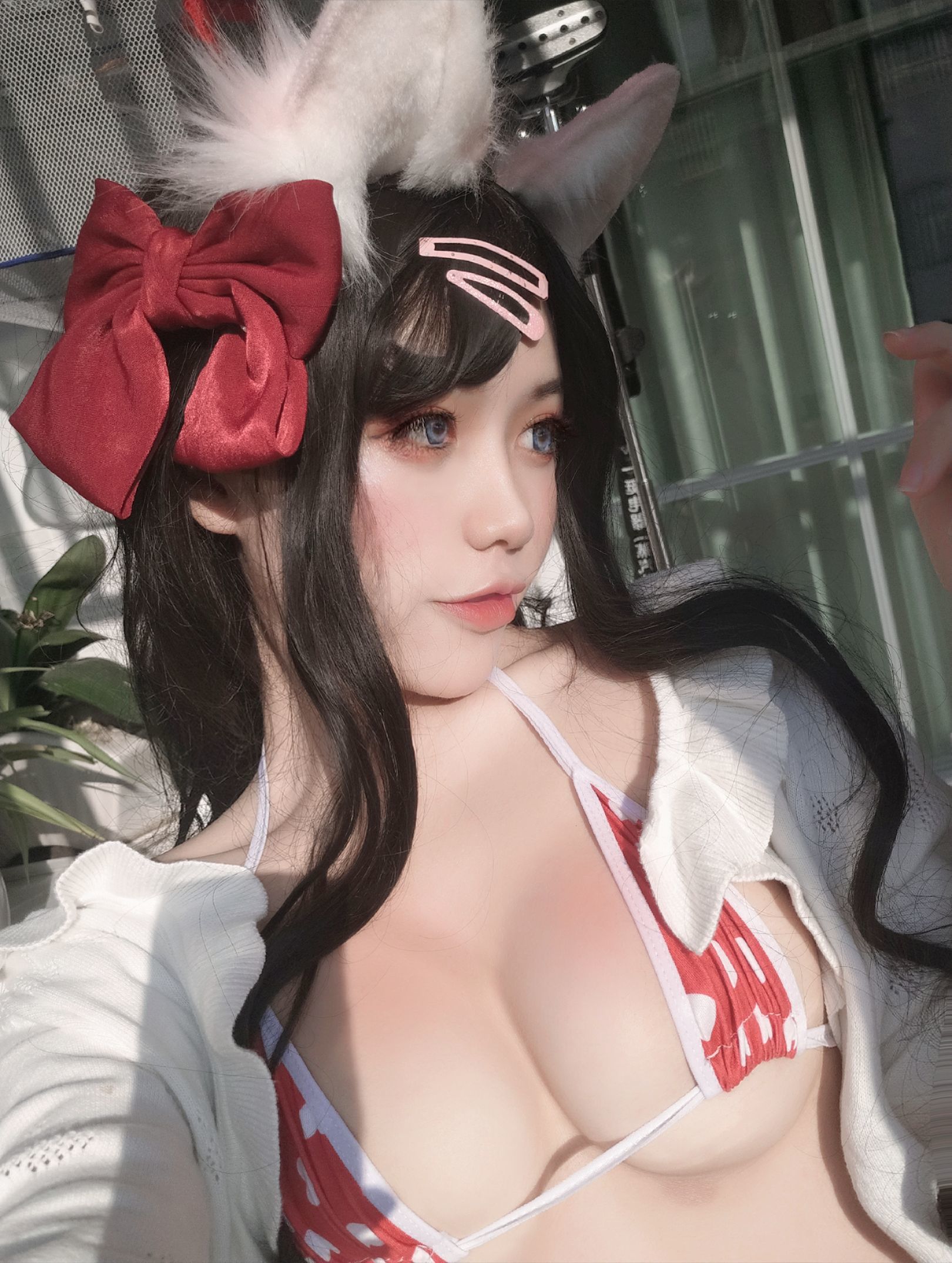 一笑芳香沁写真 窗与宠物猫-图17