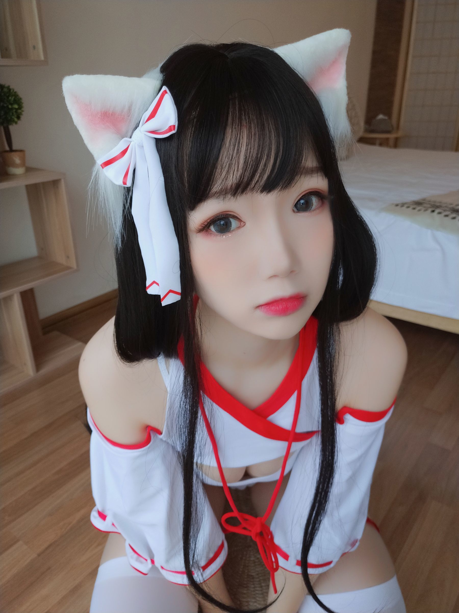 动漫博主雪晴Astra 神社の猫-图70