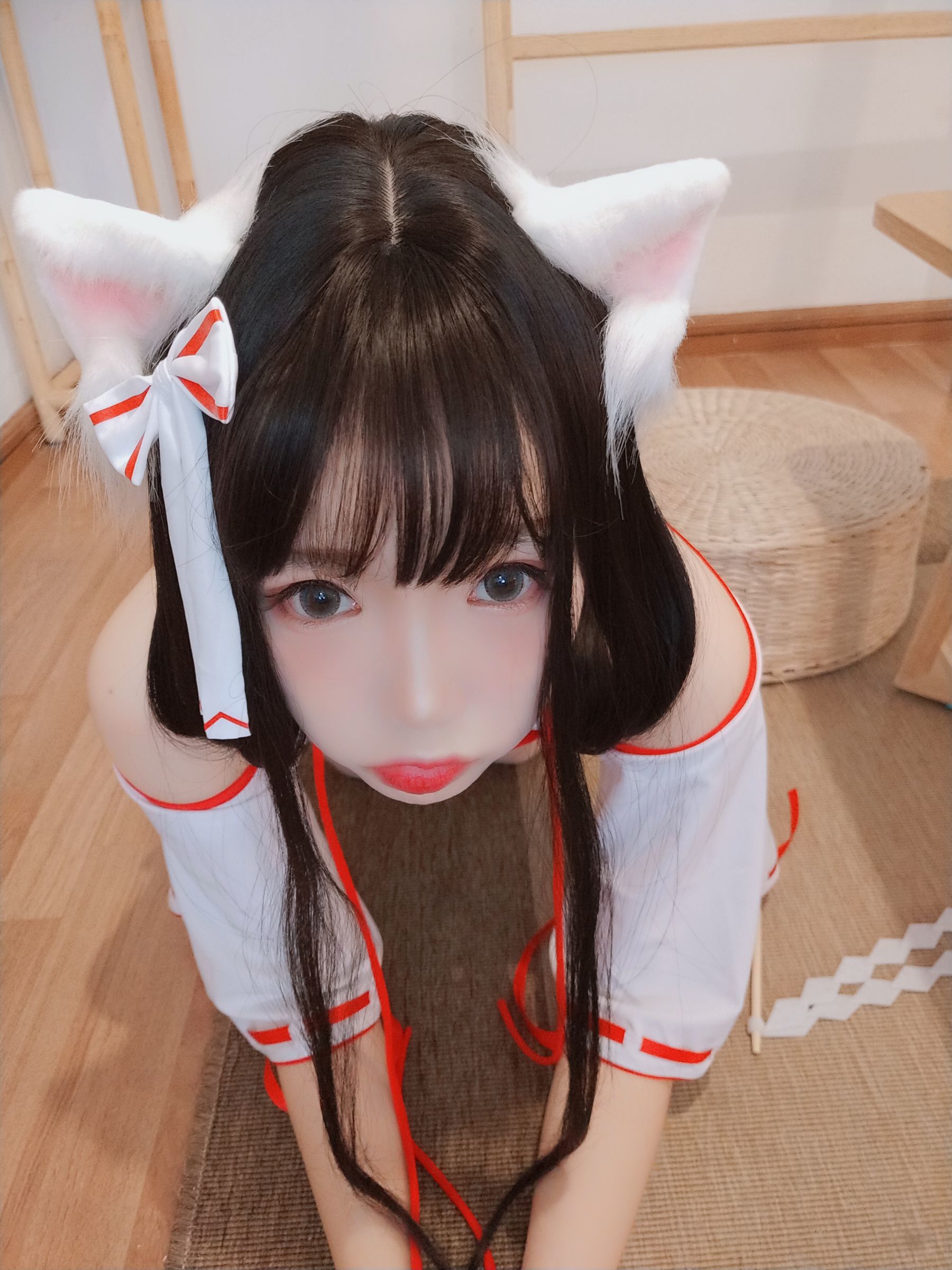 动漫博主雪晴Astra 神社の猫-图80