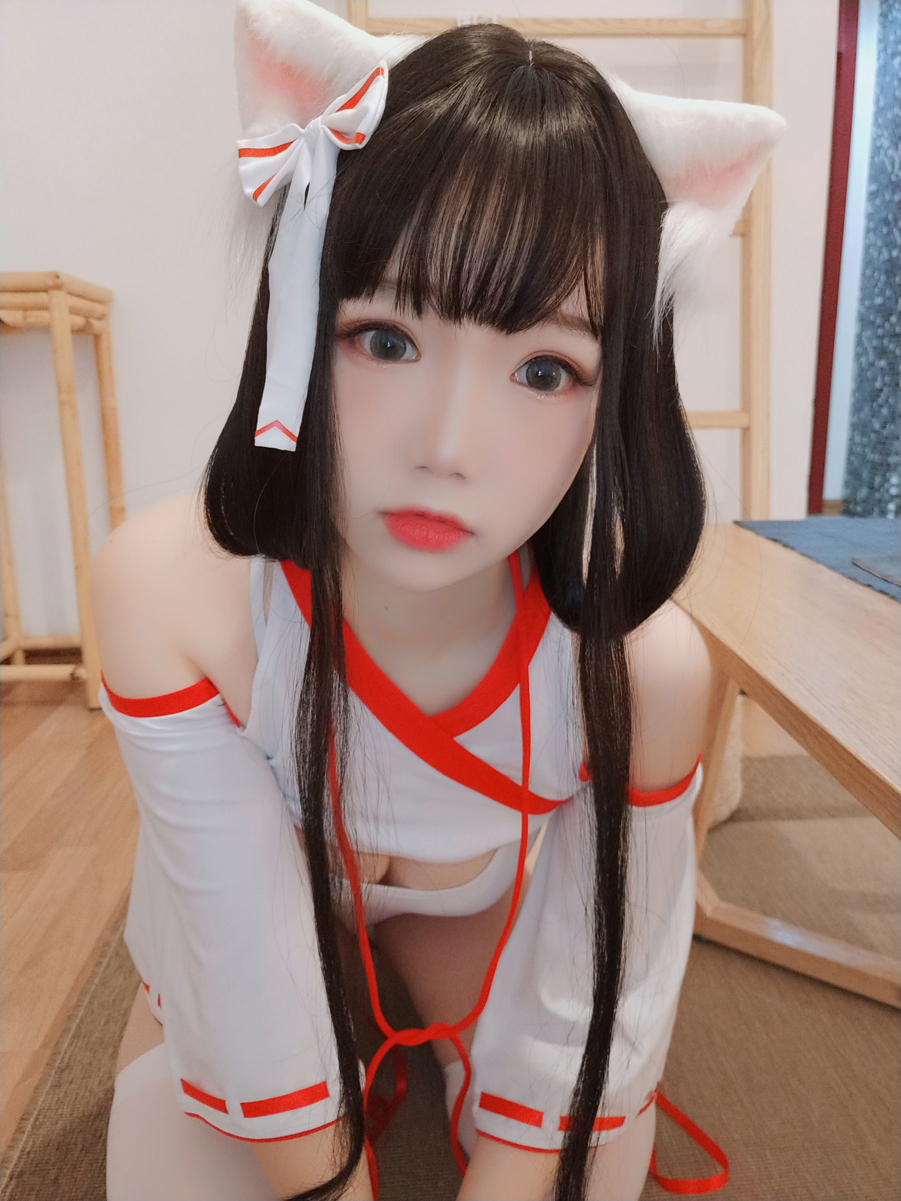 动漫博主雪晴Astra 神社の猫-图8