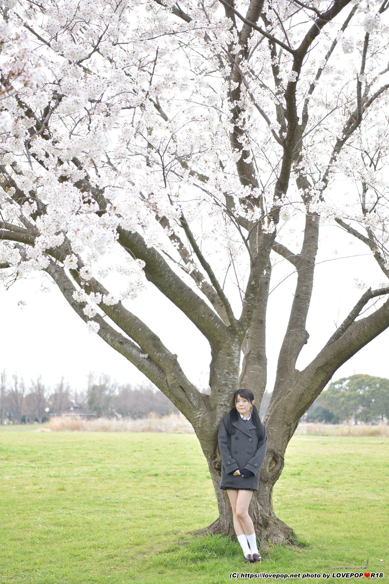 Meru Yanai 柳井める Photoset 08-图51