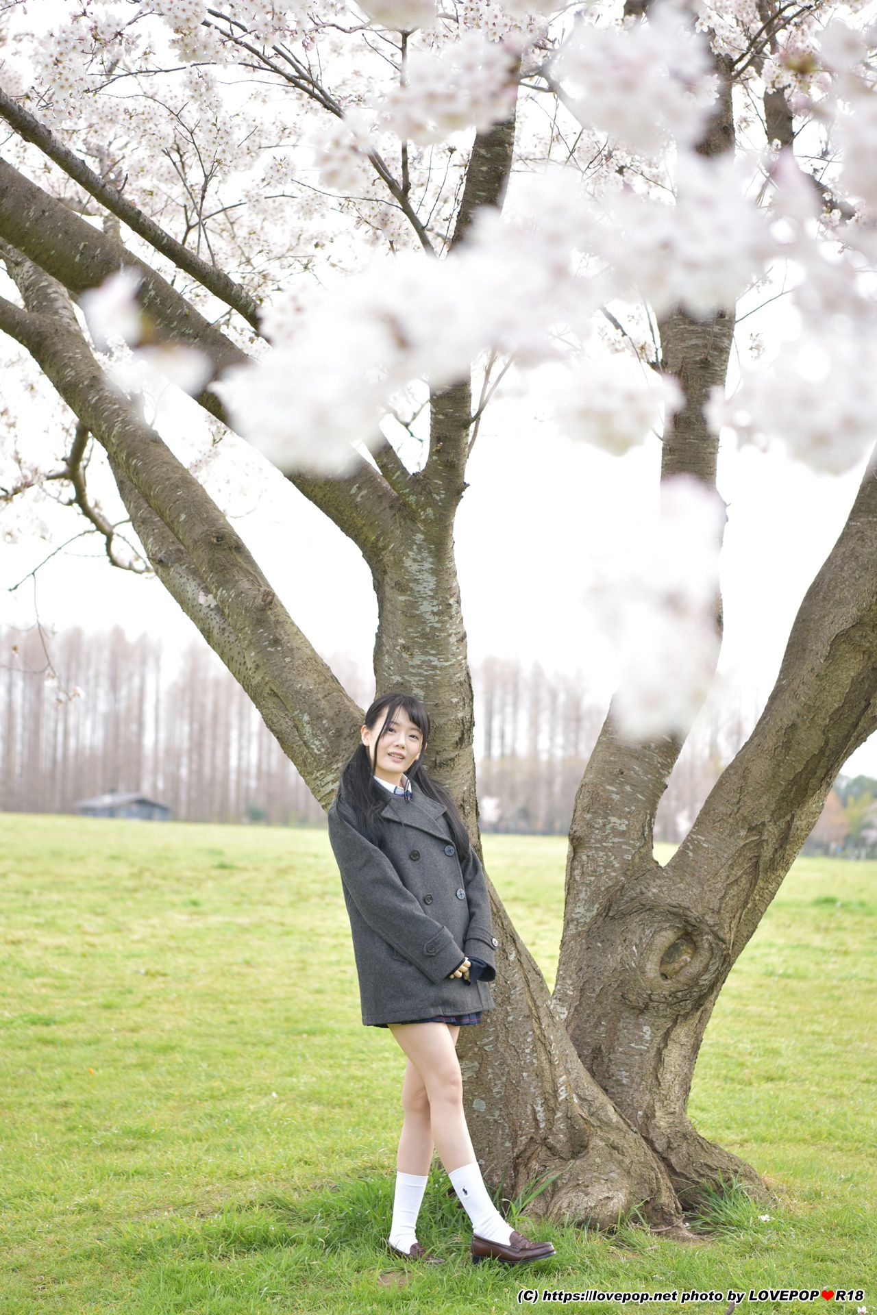 Meru Yanai 柳井める Photoset 08-图52