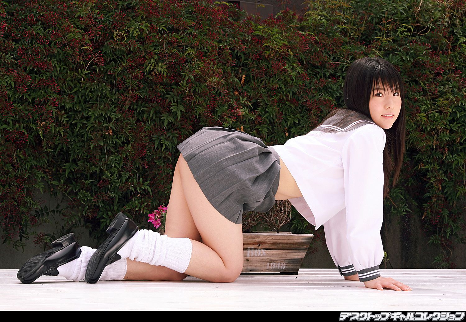 NO.446 Moe Wakaki 若木萌 制服美少女天国-图14