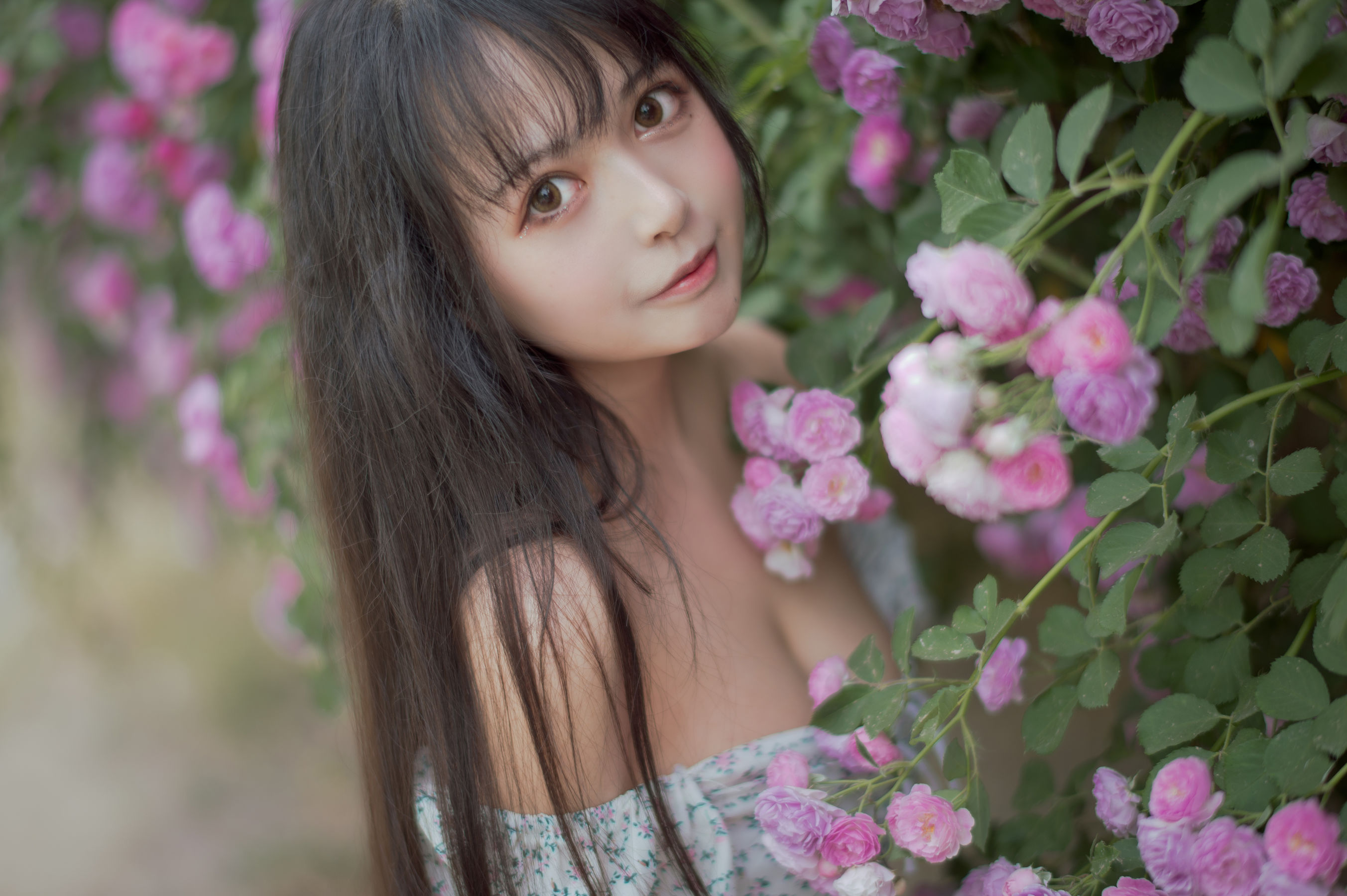 大眼萌妹黑猫猫OvO - 蔷薇2-图10
