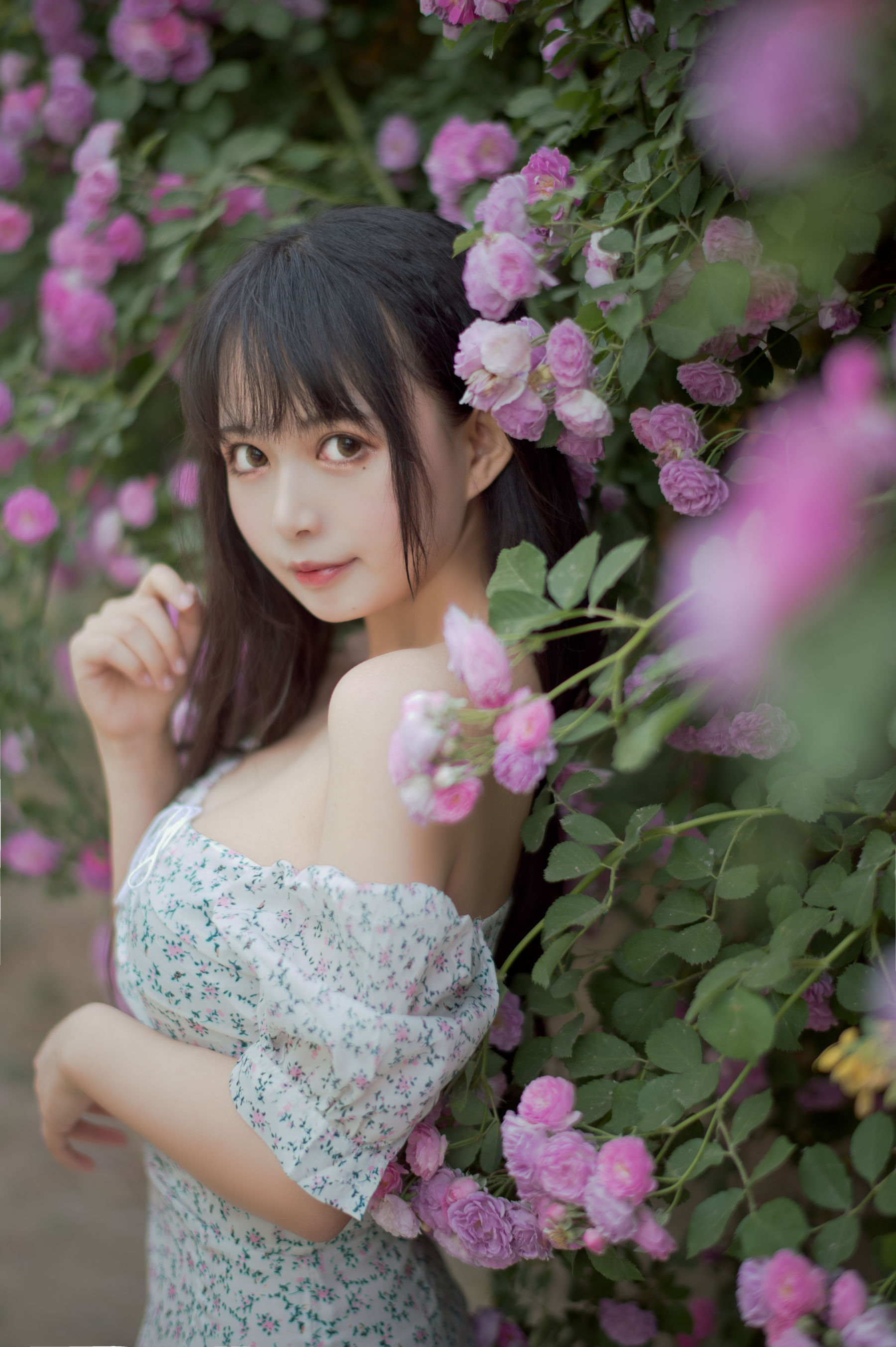 大眼萌妹黑猫猫OvO - 蔷薇2-图11