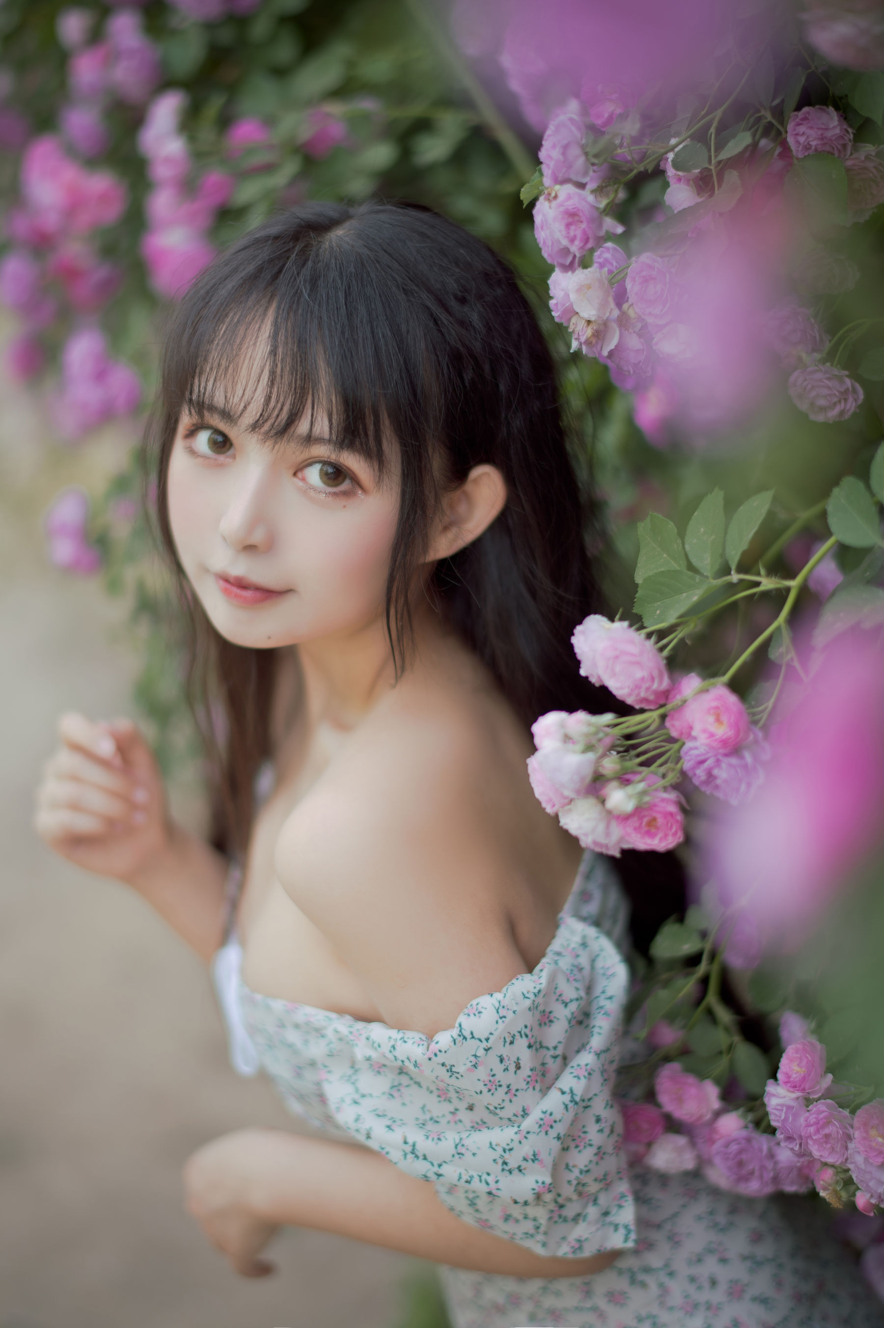 大眼萌妹黑猫猫OvO - 蔷薇2-图12