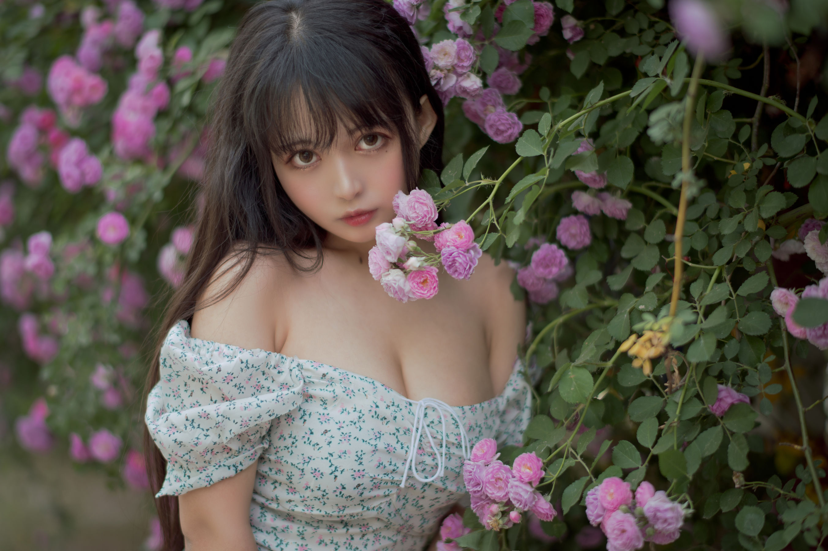 大眼萌妹黑猫猫OvO - 蔷薇2-图14