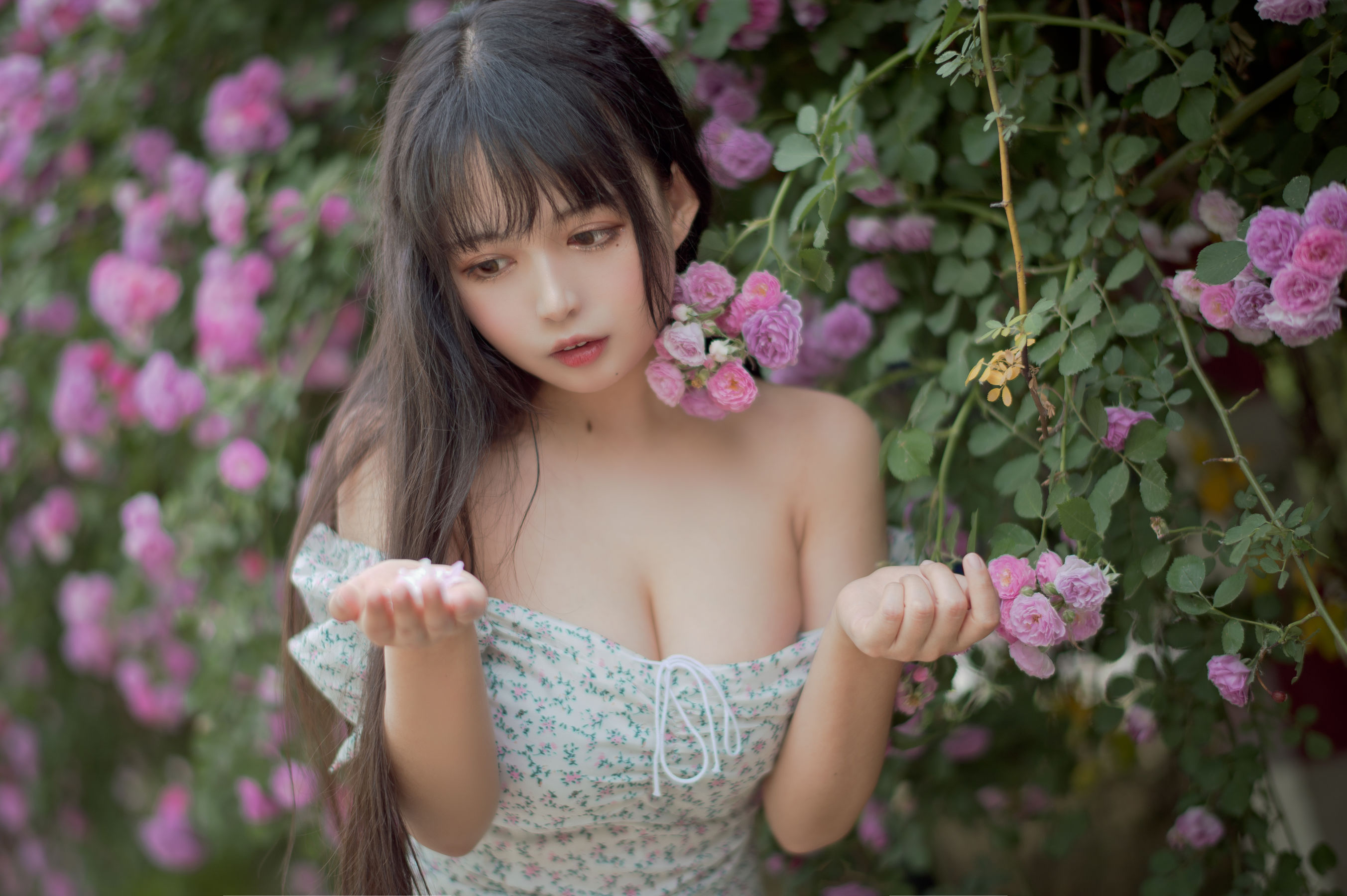 大眼萌妹黑猫猫OvO - 蔷薇2-图15