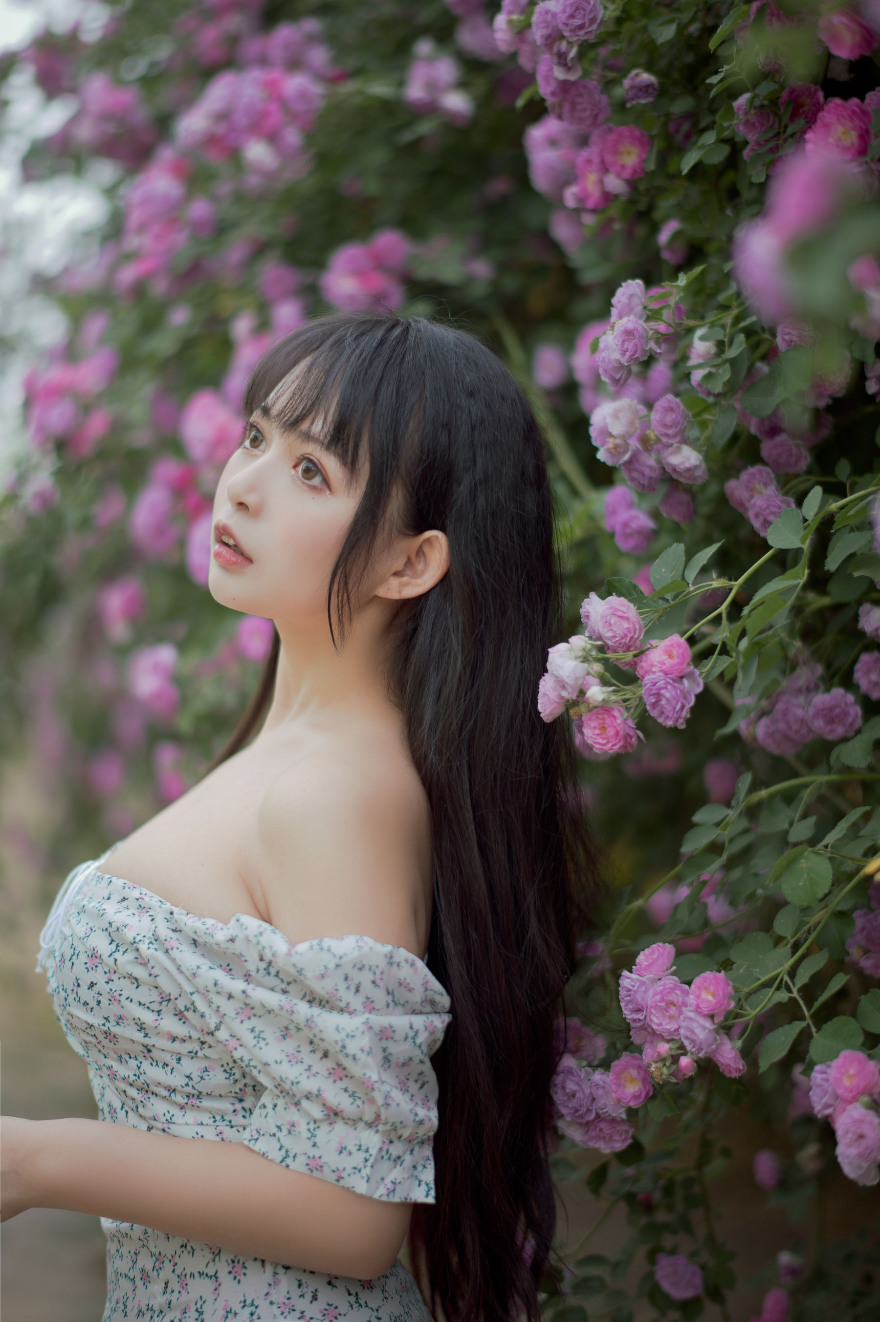 大眼萌妹黑猫猫OvO - 蔷薇2-图16