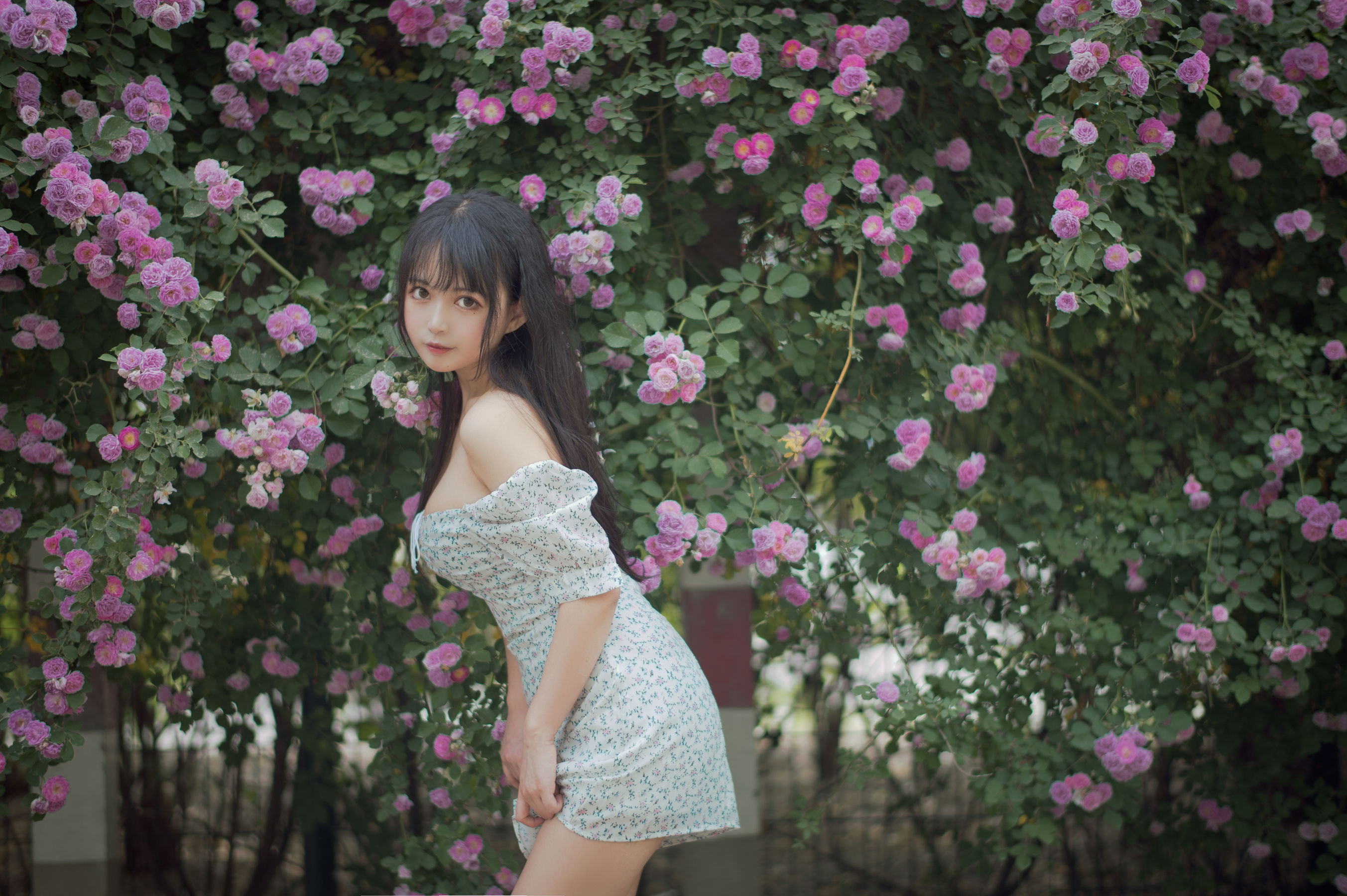 大眼萌妹黑猫猫OvO - 蔷薇2-图18