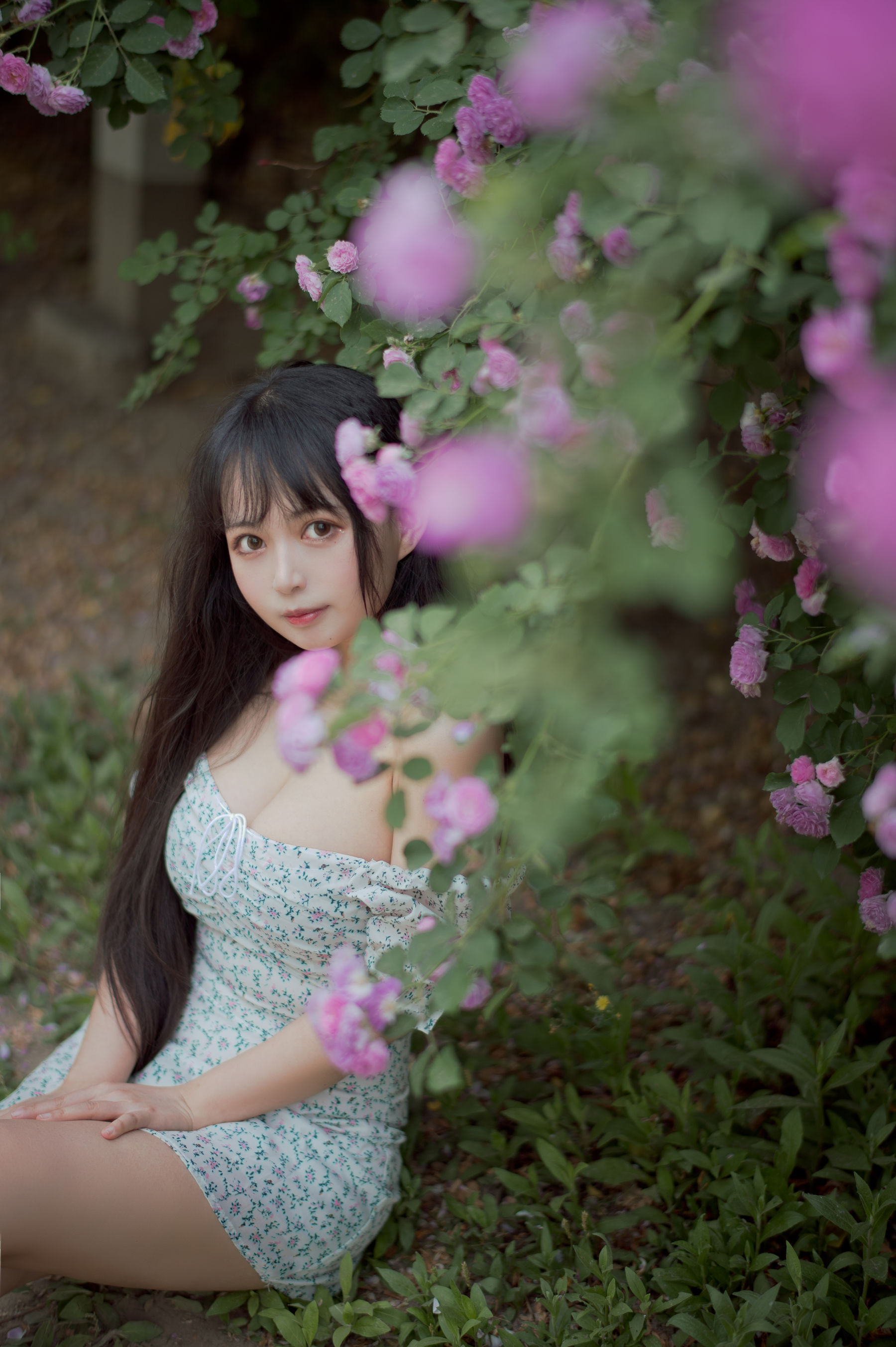 大眼萌妹黑猫猫OvO - 蔷薇2-图19
