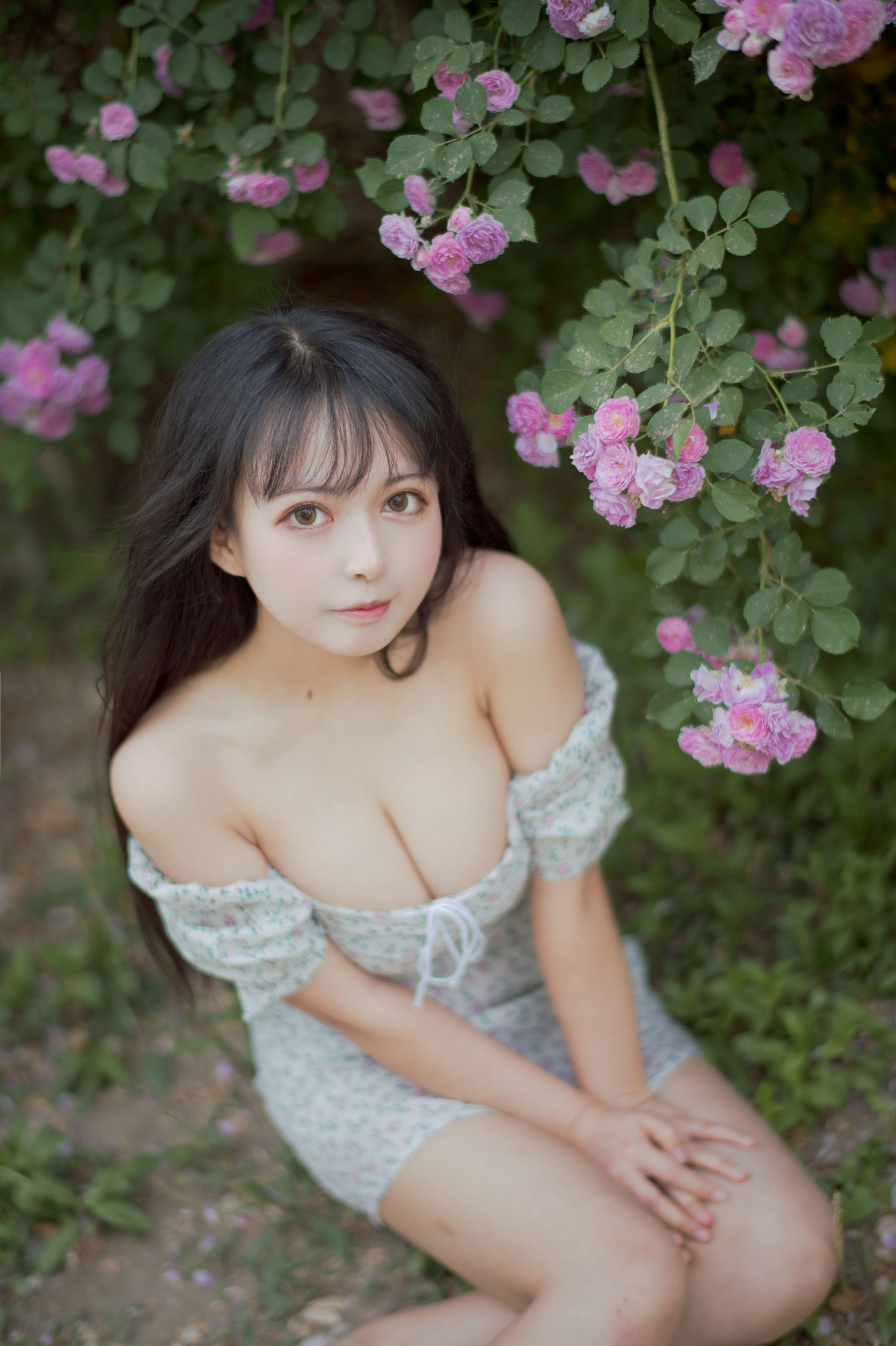 大眼萌妹黑猫猫OvO - 蔷薇2-图22