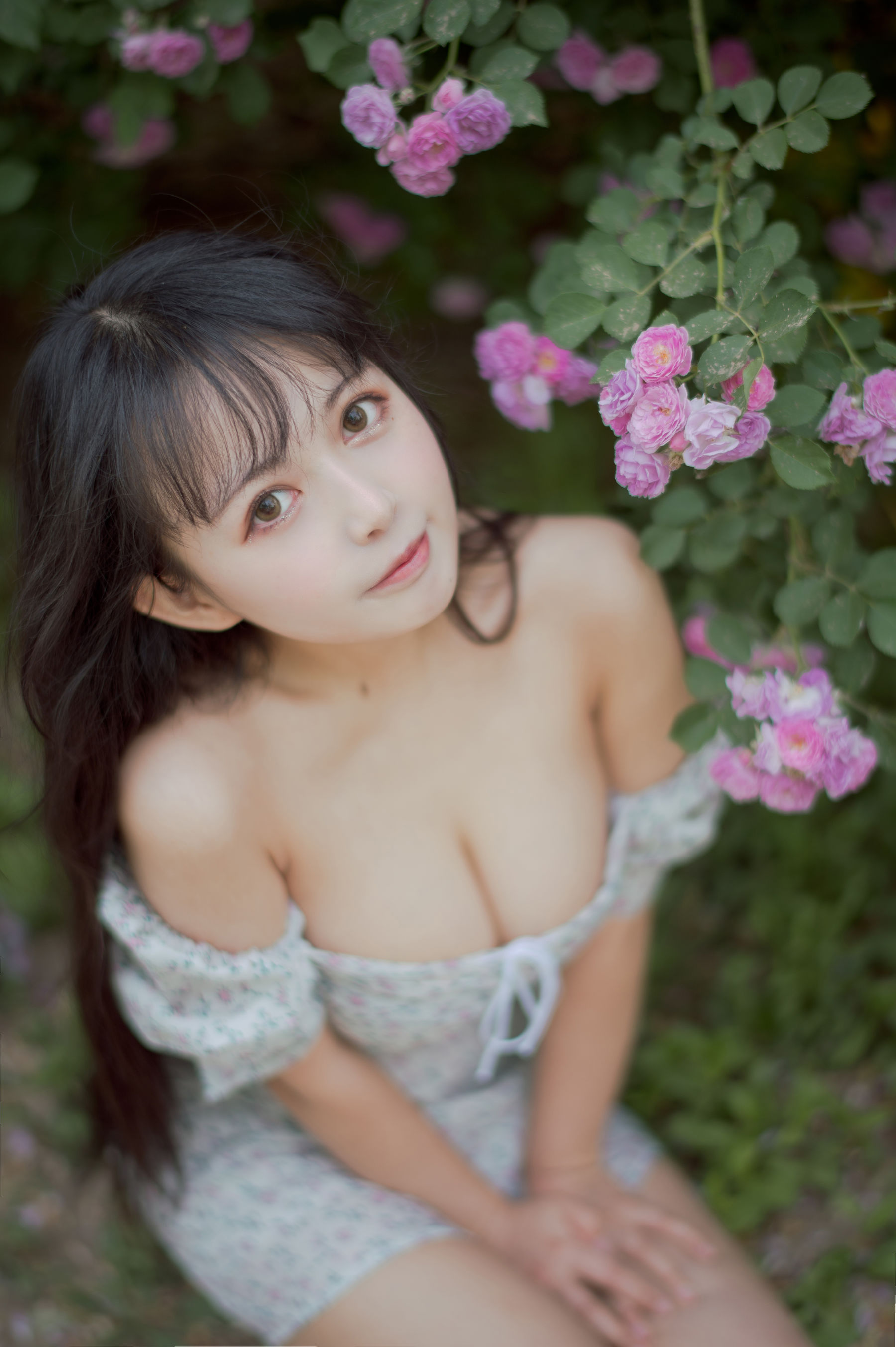 大眼萌妹黑猫猫OvO - 蔷薇2-图23