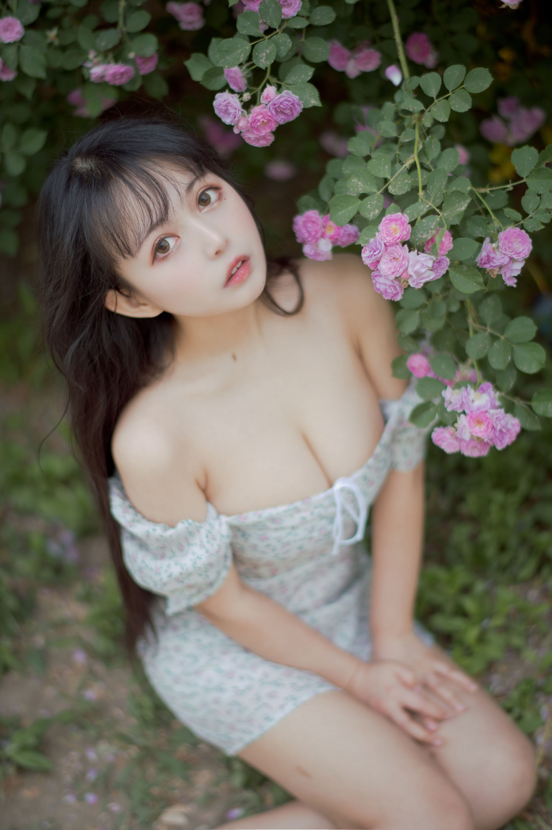 大眼萌妹黑猫猫OvO - 蔷薇2-图24