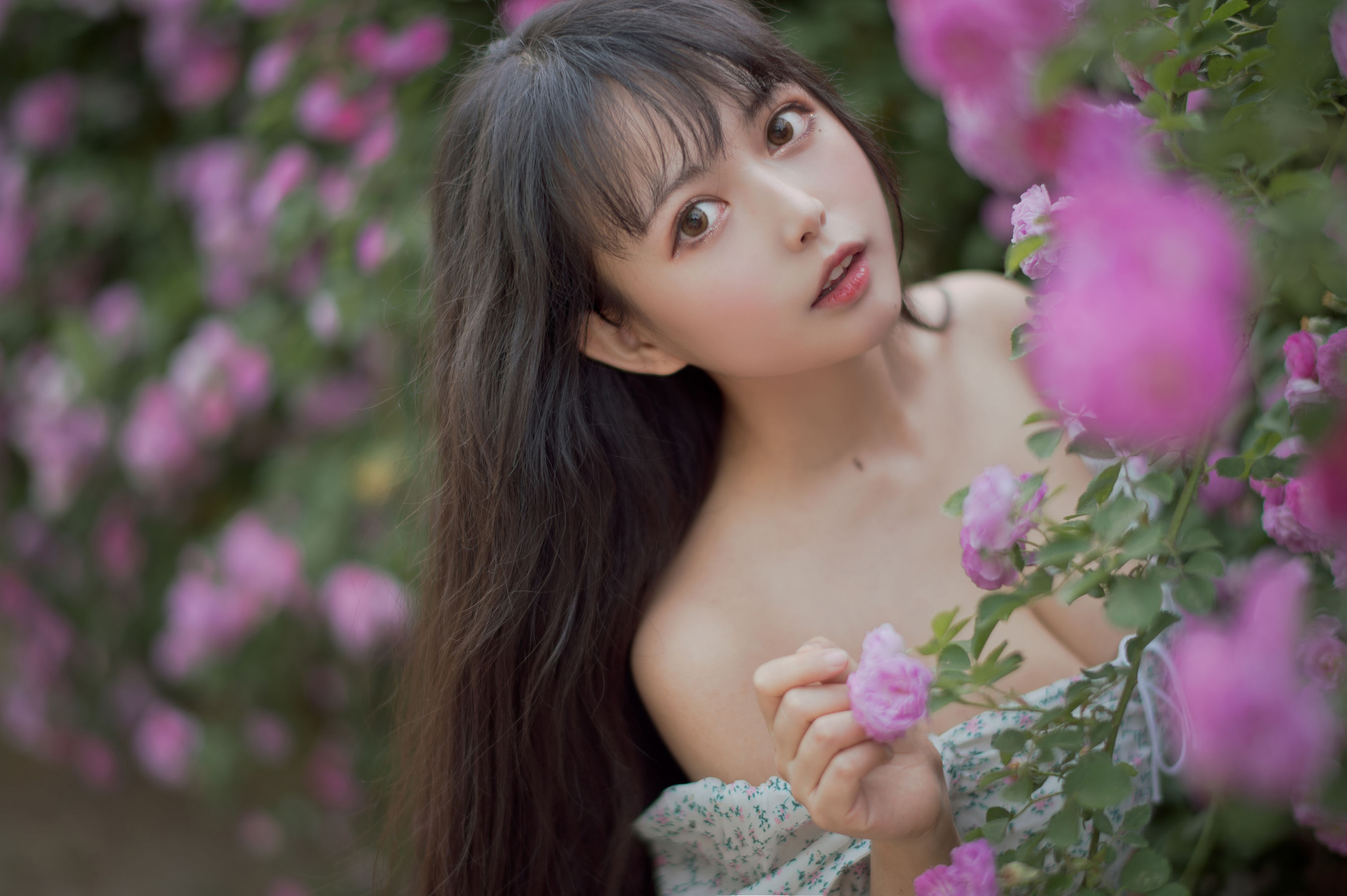 大眼萌妹黑猫猫OvO - 蔷薇2-图25