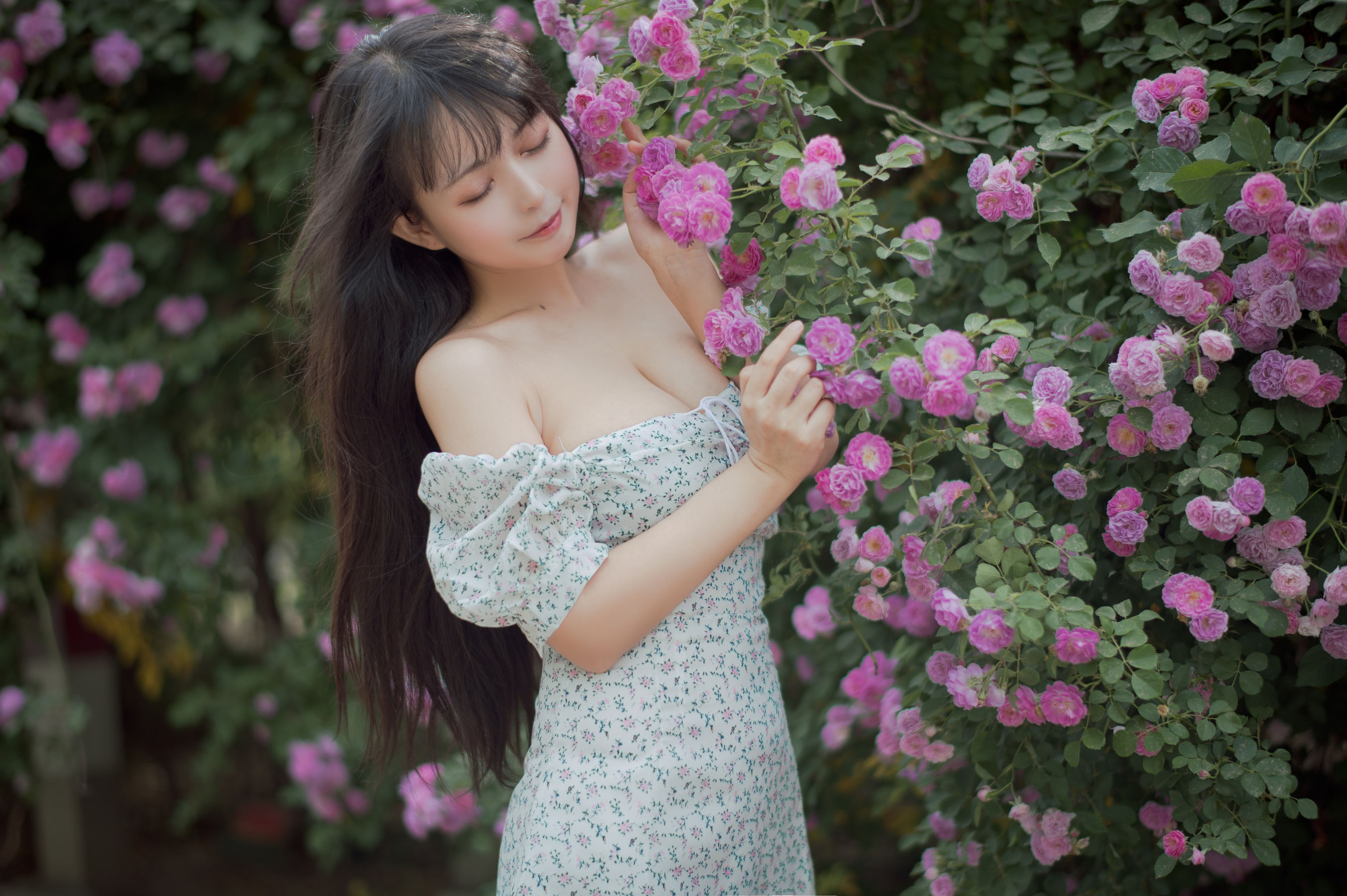 大眼萌妹黑猫猫OvO - 蔷薇2-图26