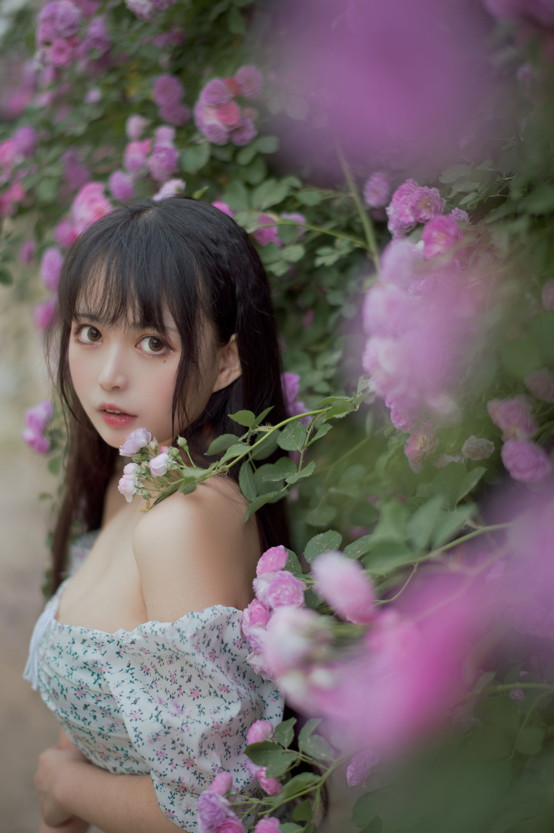 大眼萌妹黑猫猫OvO - 蔷薇2-图2