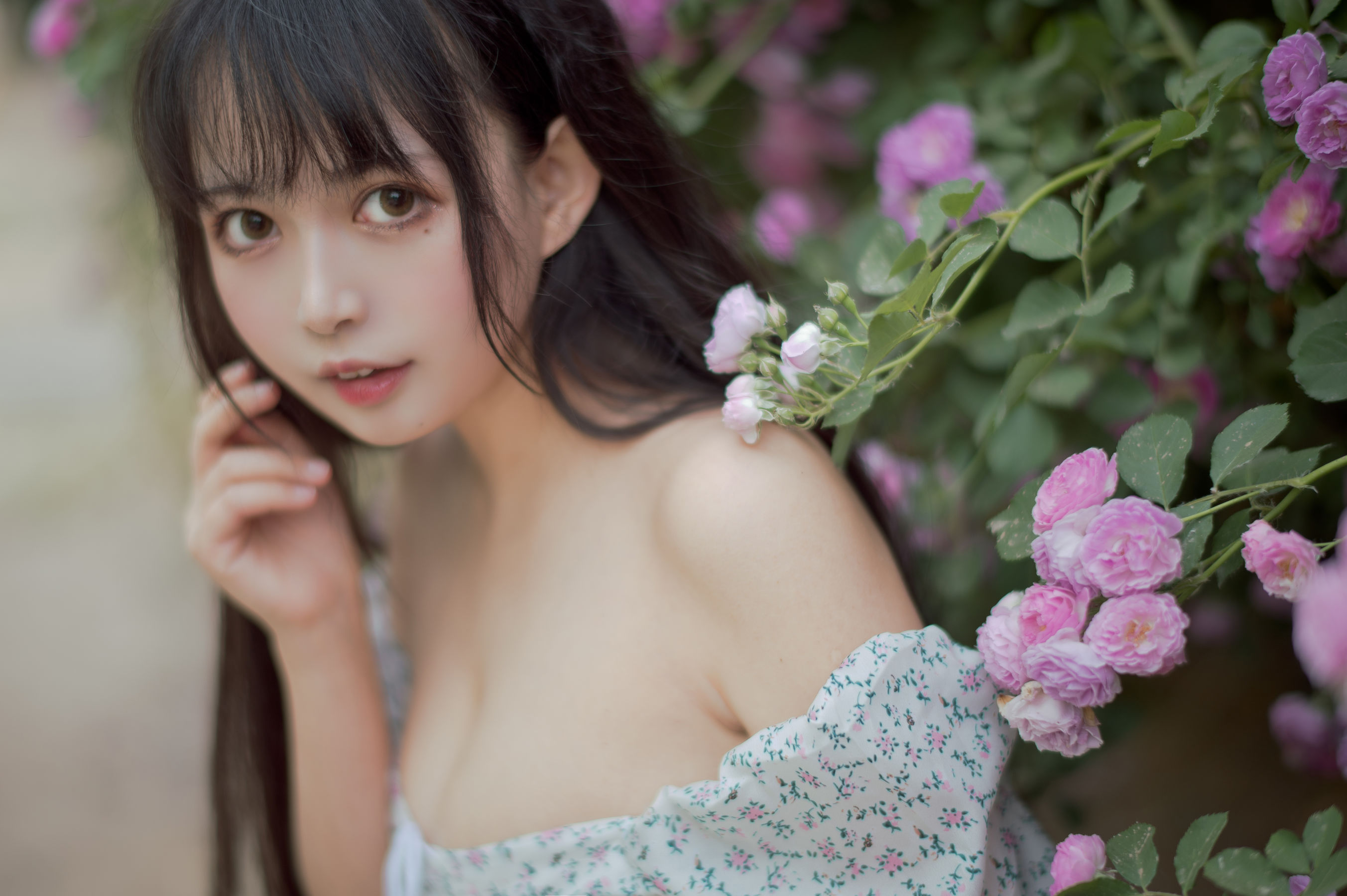 大眼萌妹黑猫猫OvO - 蔷薇2-图3