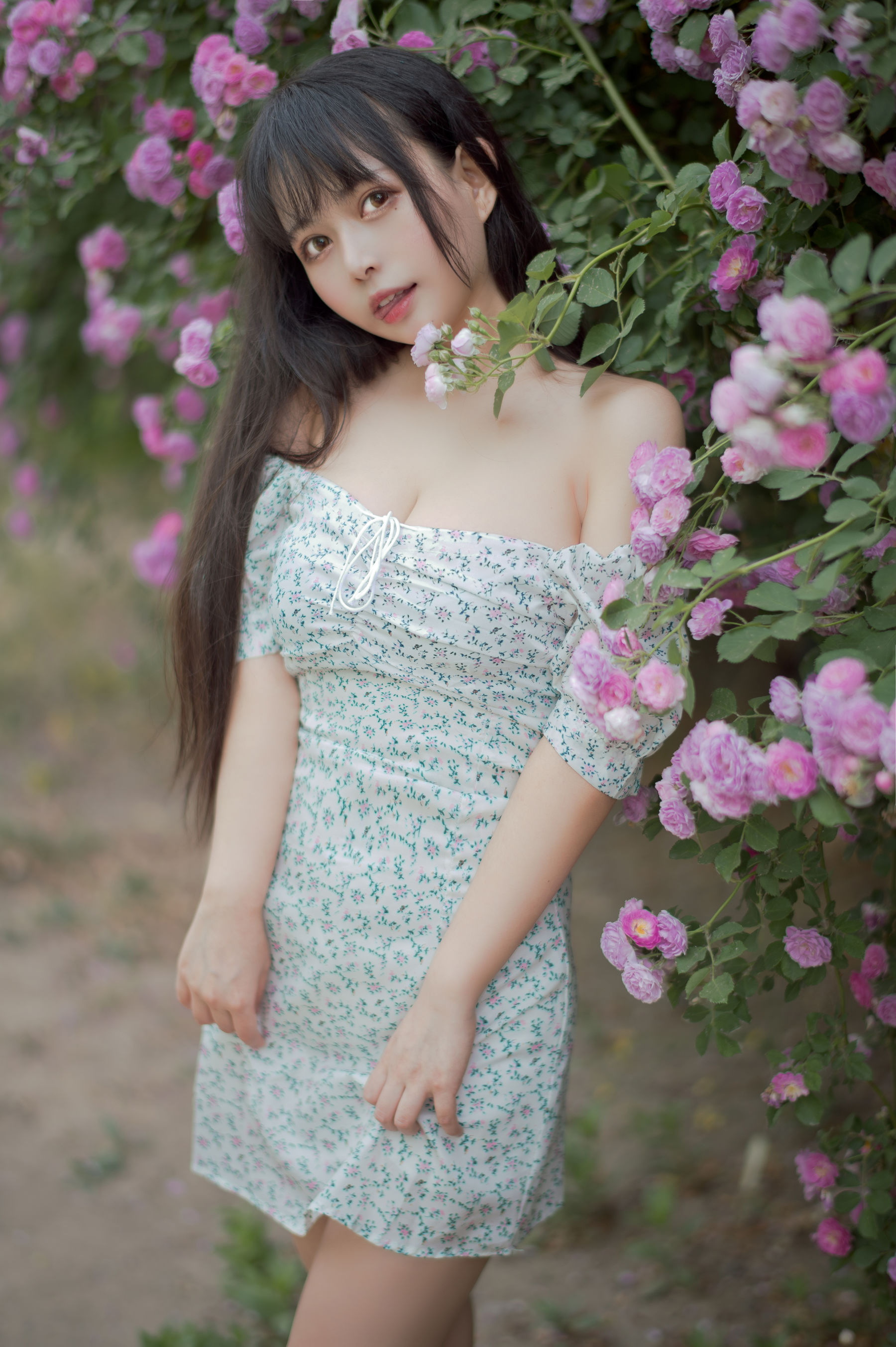 大眼萌妹黑猫猫OvO - 蔷薇2-图4