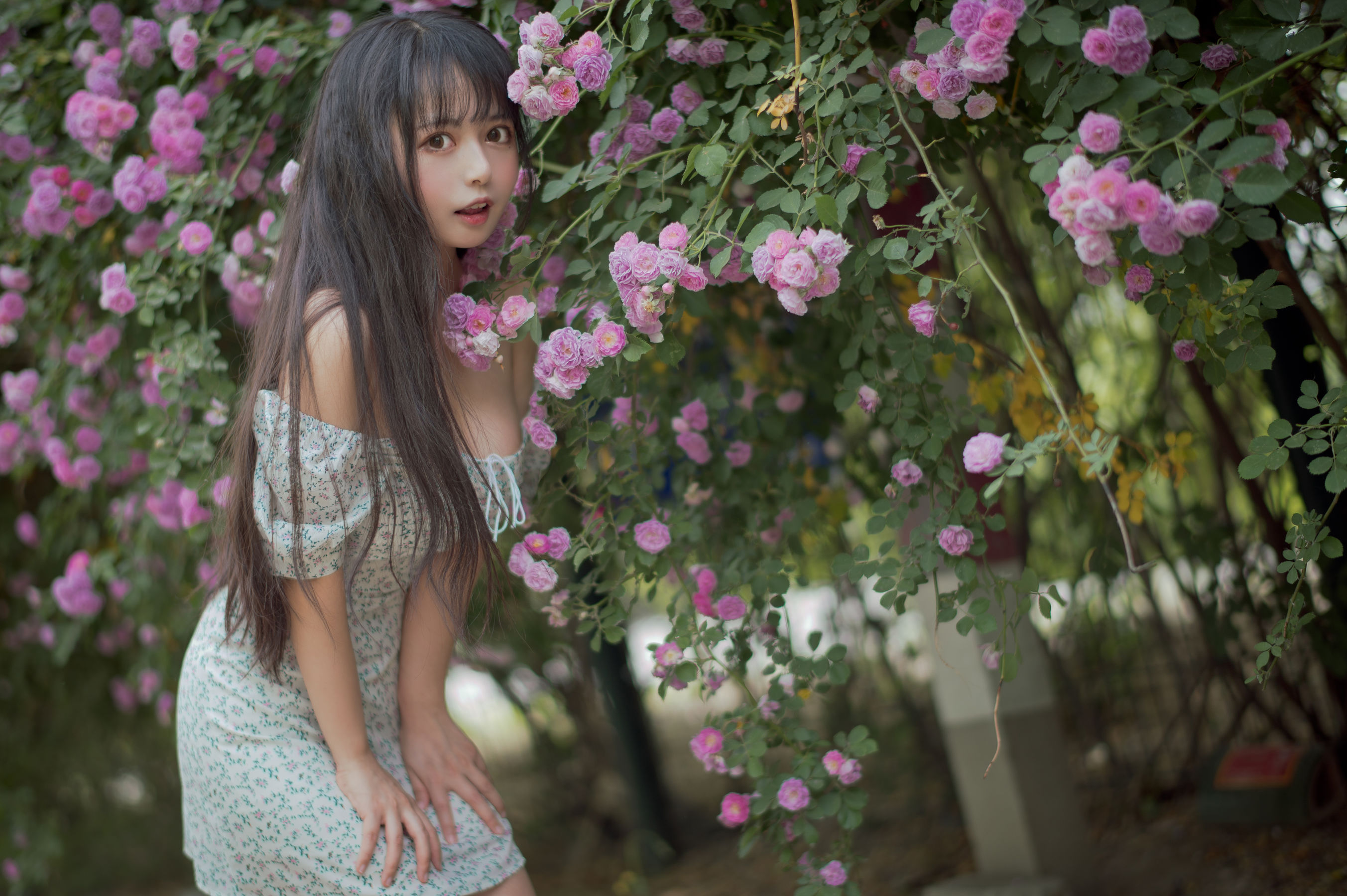 大眼萌妹黑猫猫OvO - 蔷薇2-图7